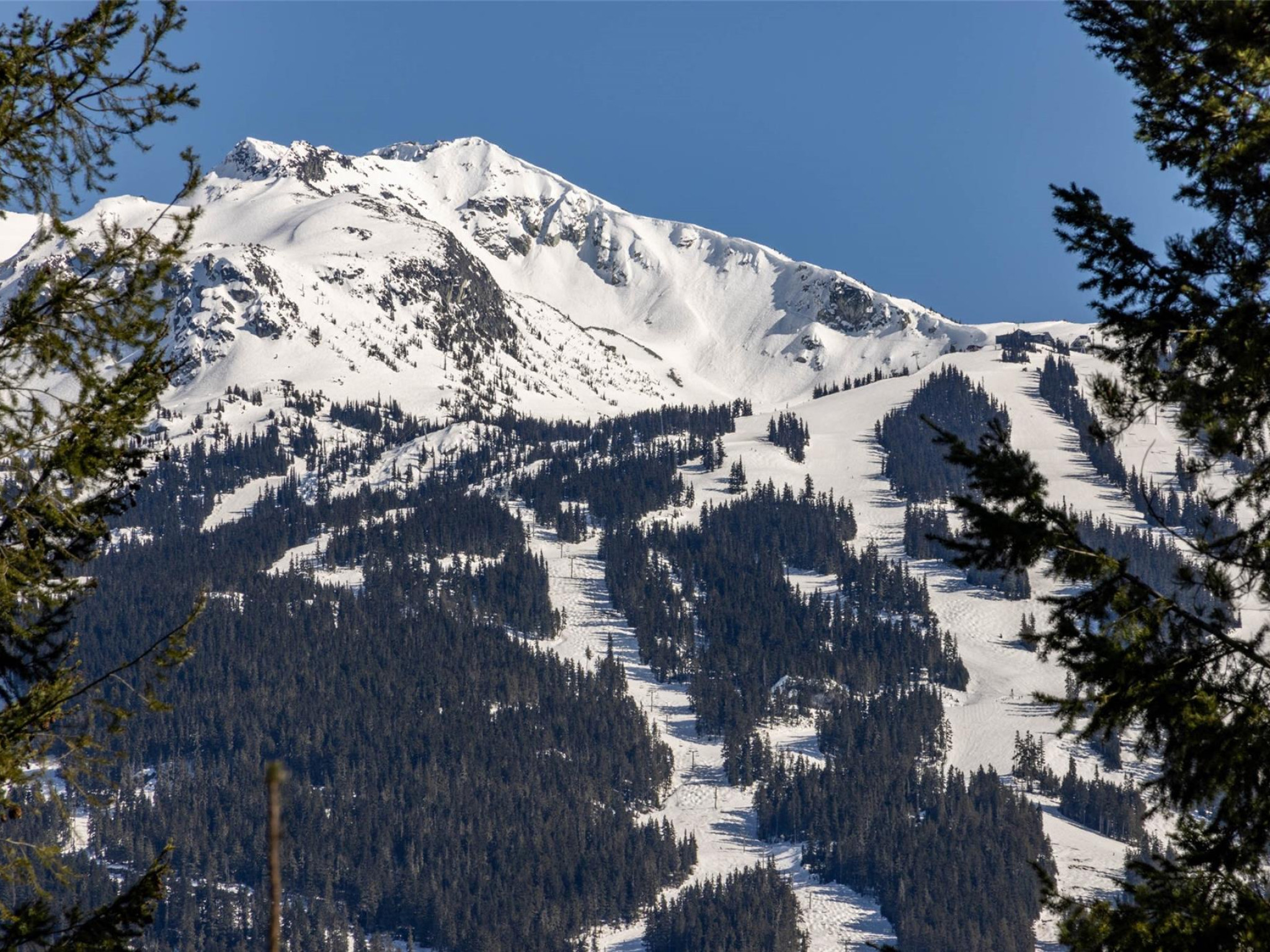 8476 Matterhorn Drive image 16