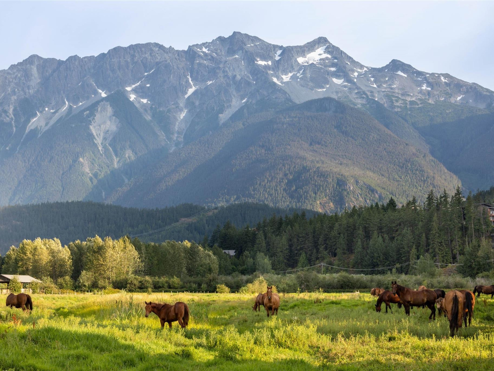 1360 Collins Road image 39