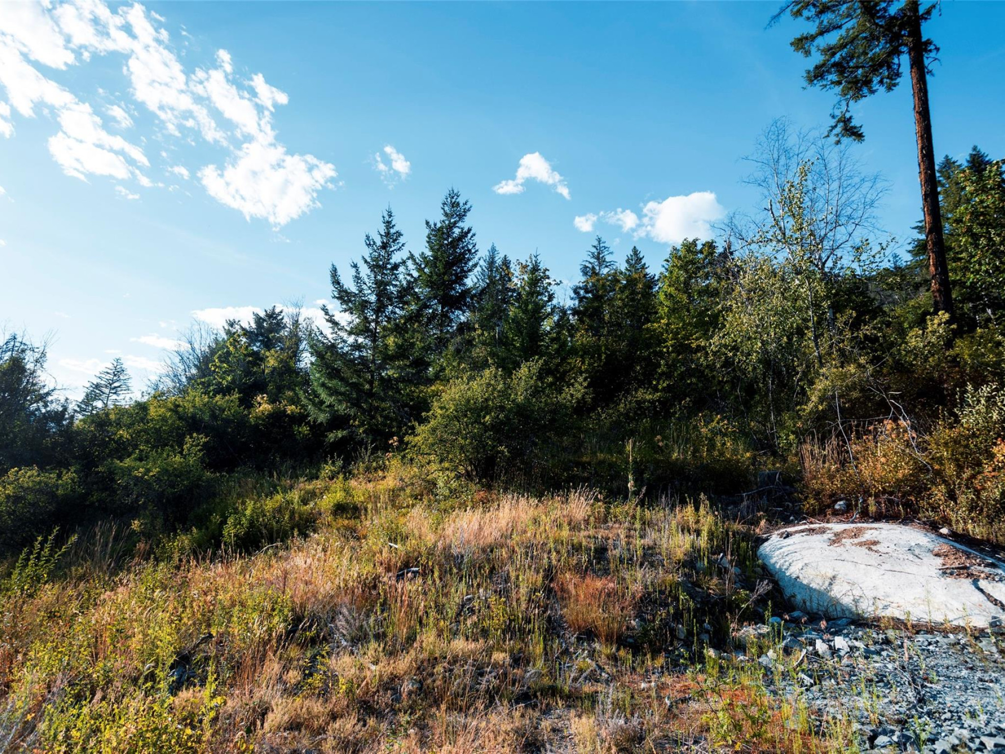 9002 Sun God Mountain Way image 2