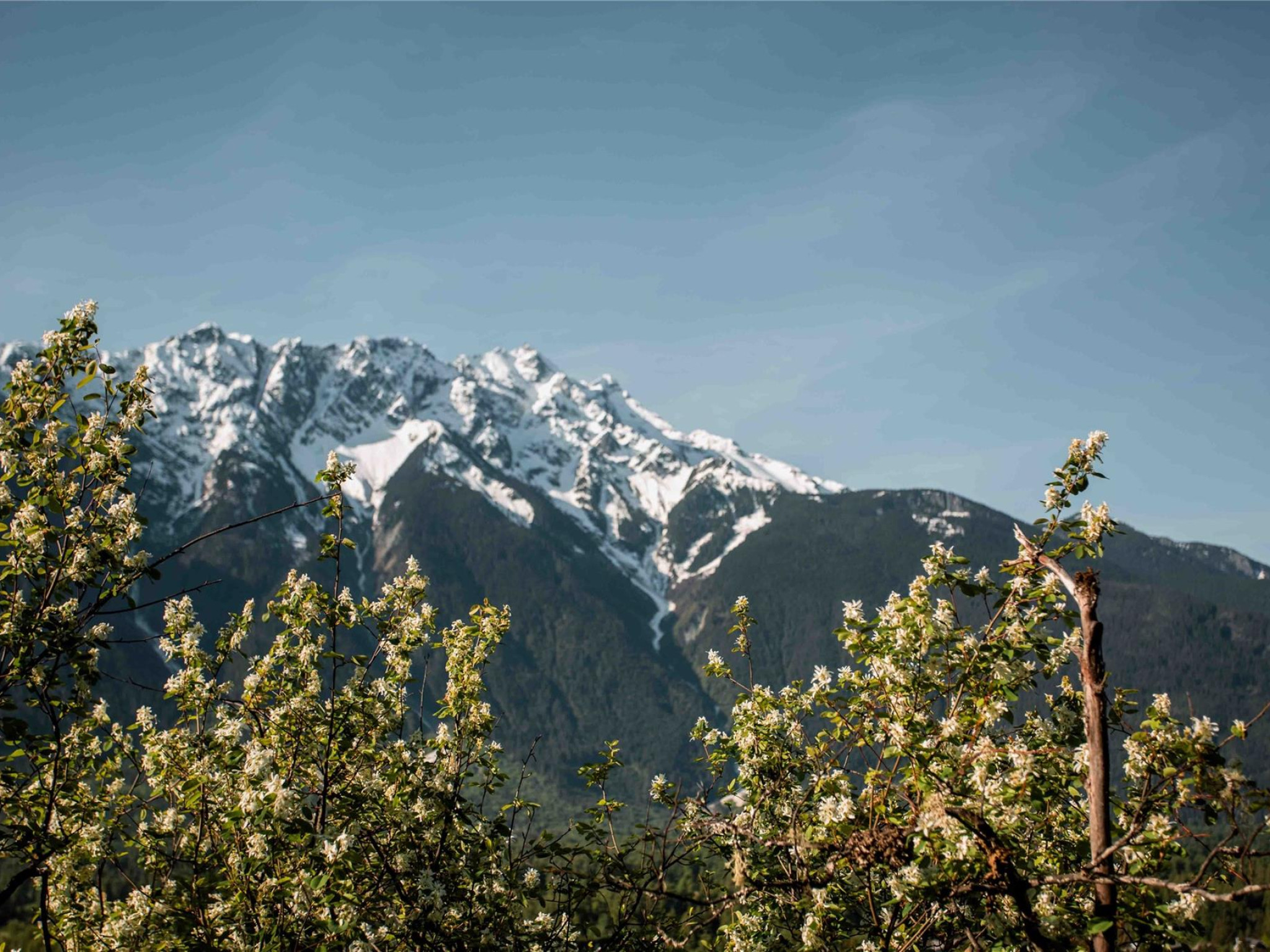 9002 Sun God Mountain Way image 6