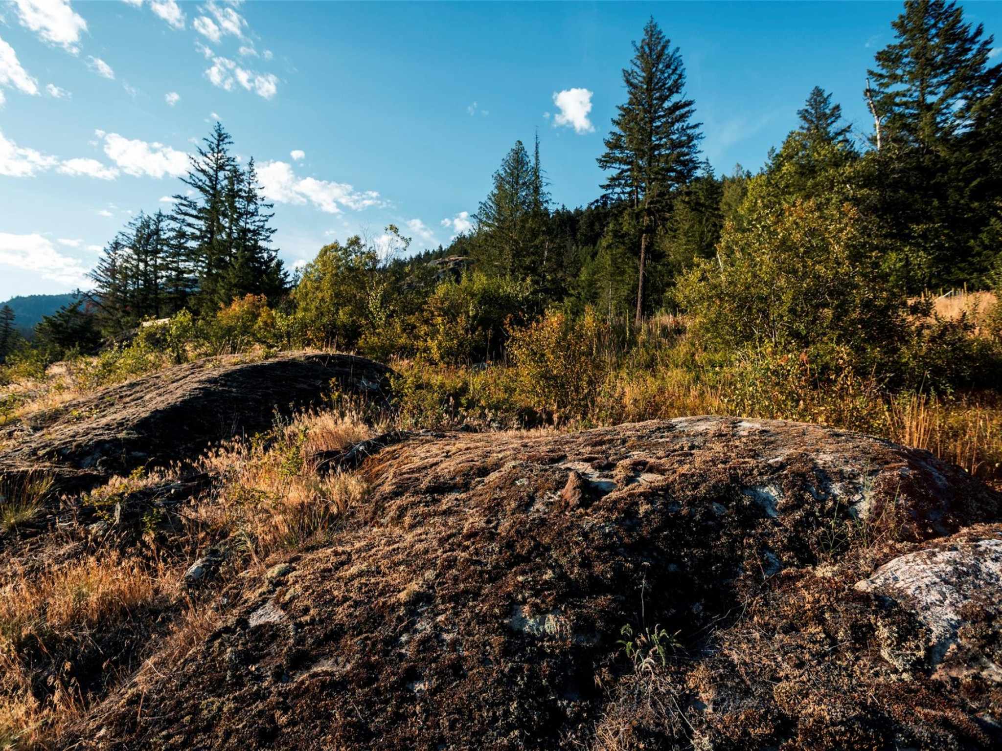 9004 Sun God Mountain Way image 3