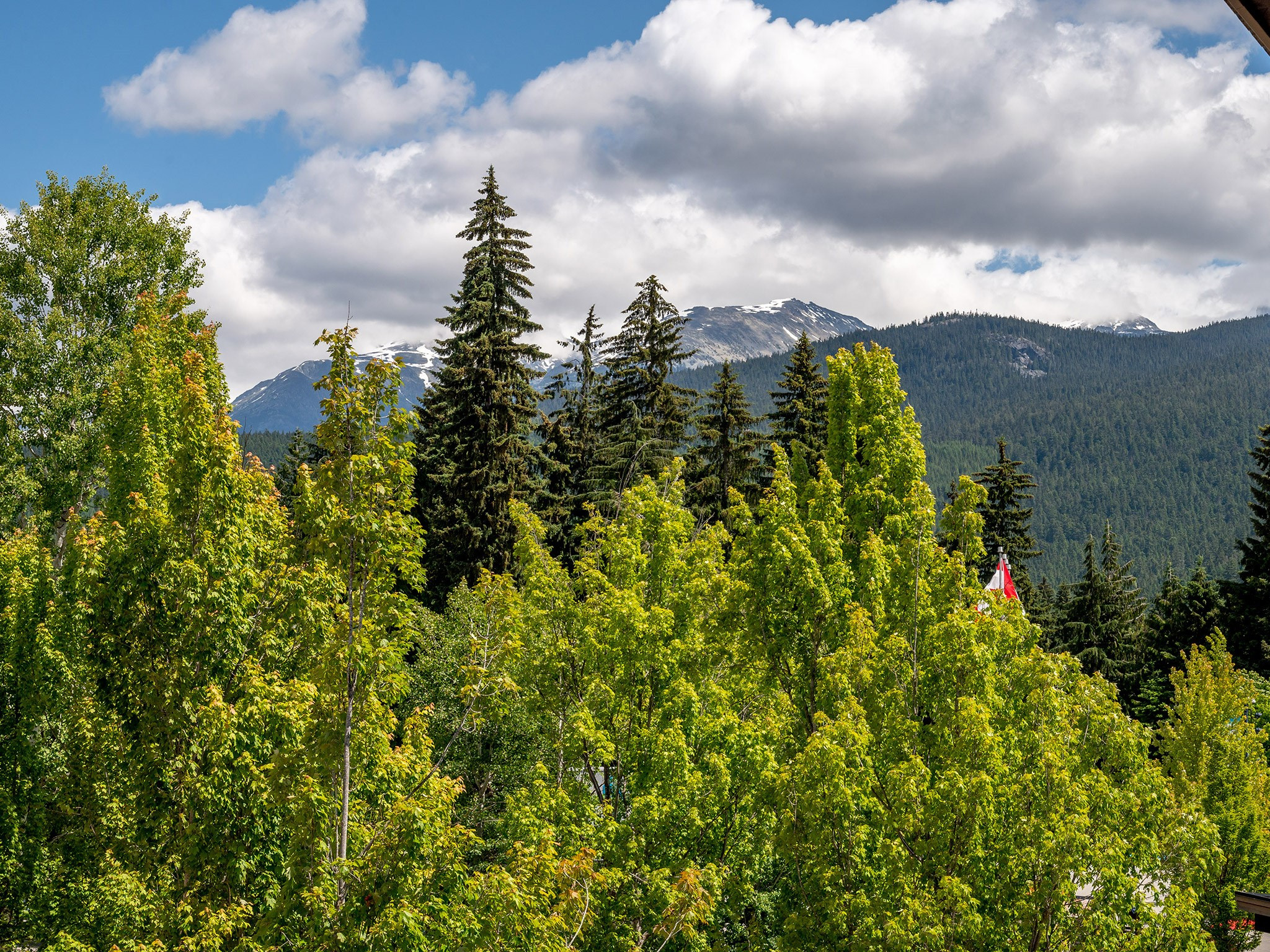 347-4340 Lorimer Road image 16