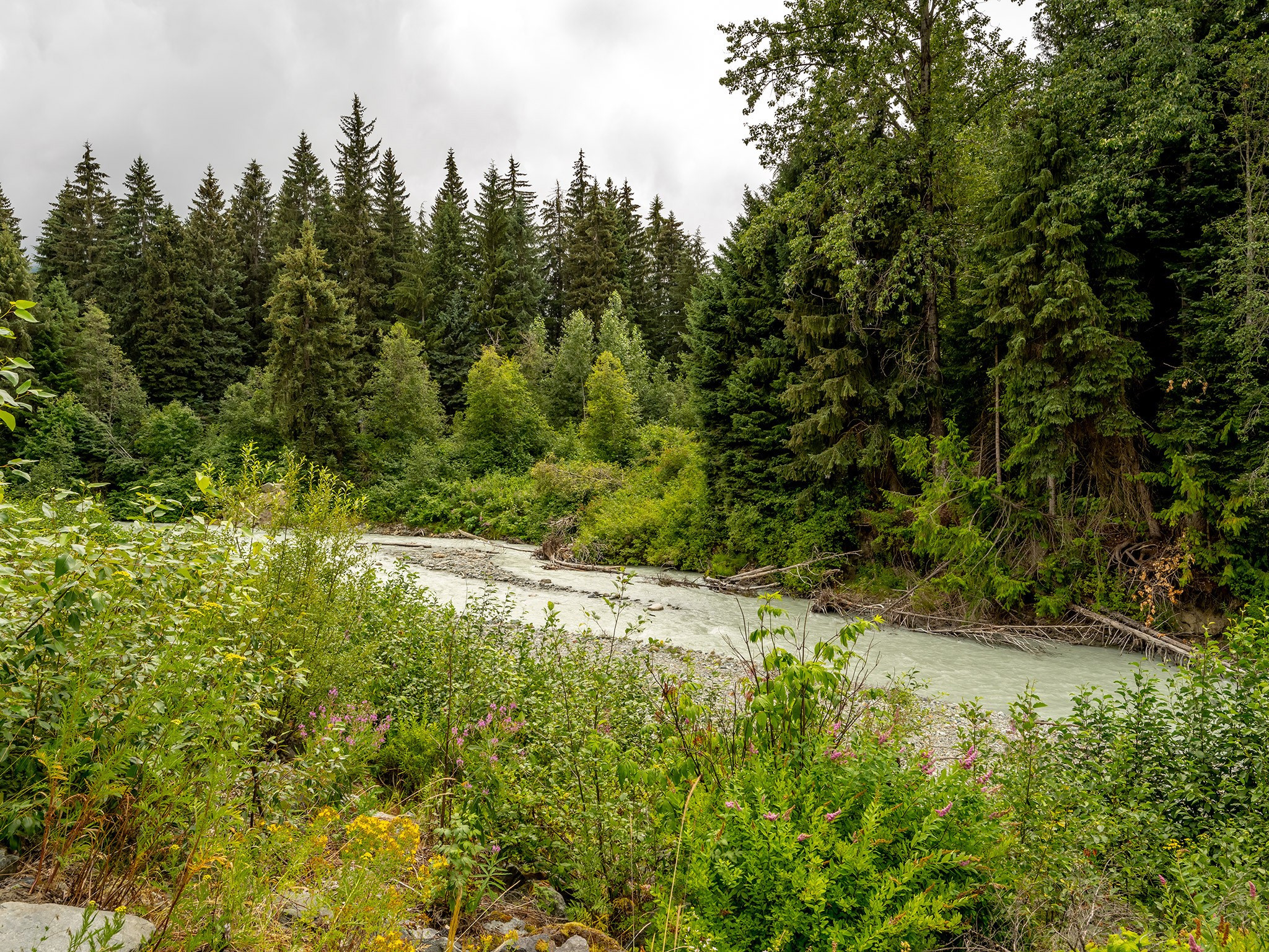 7313 Fitzsimmons Road South  image 26