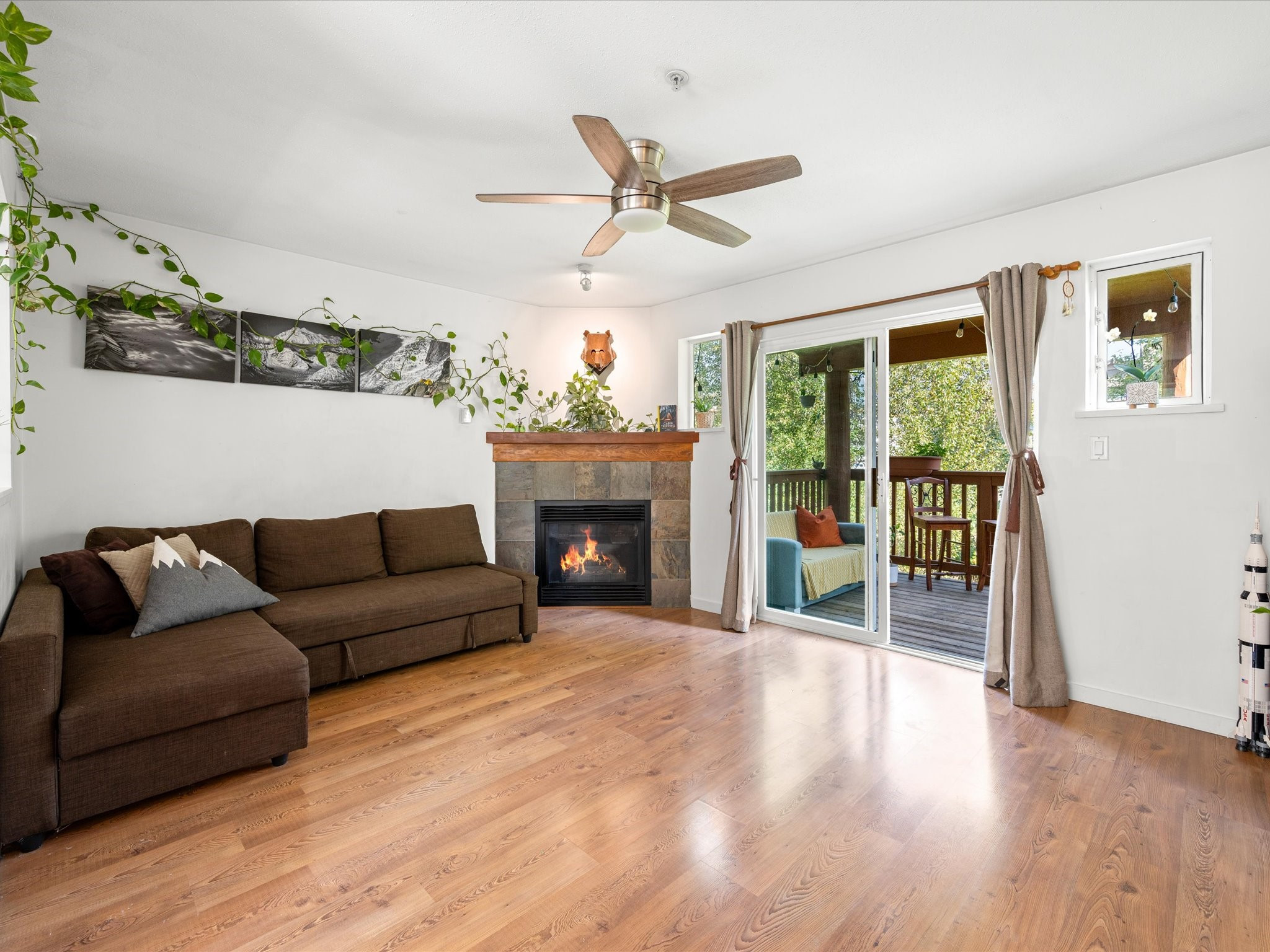 18-1450 Vine Road image 2