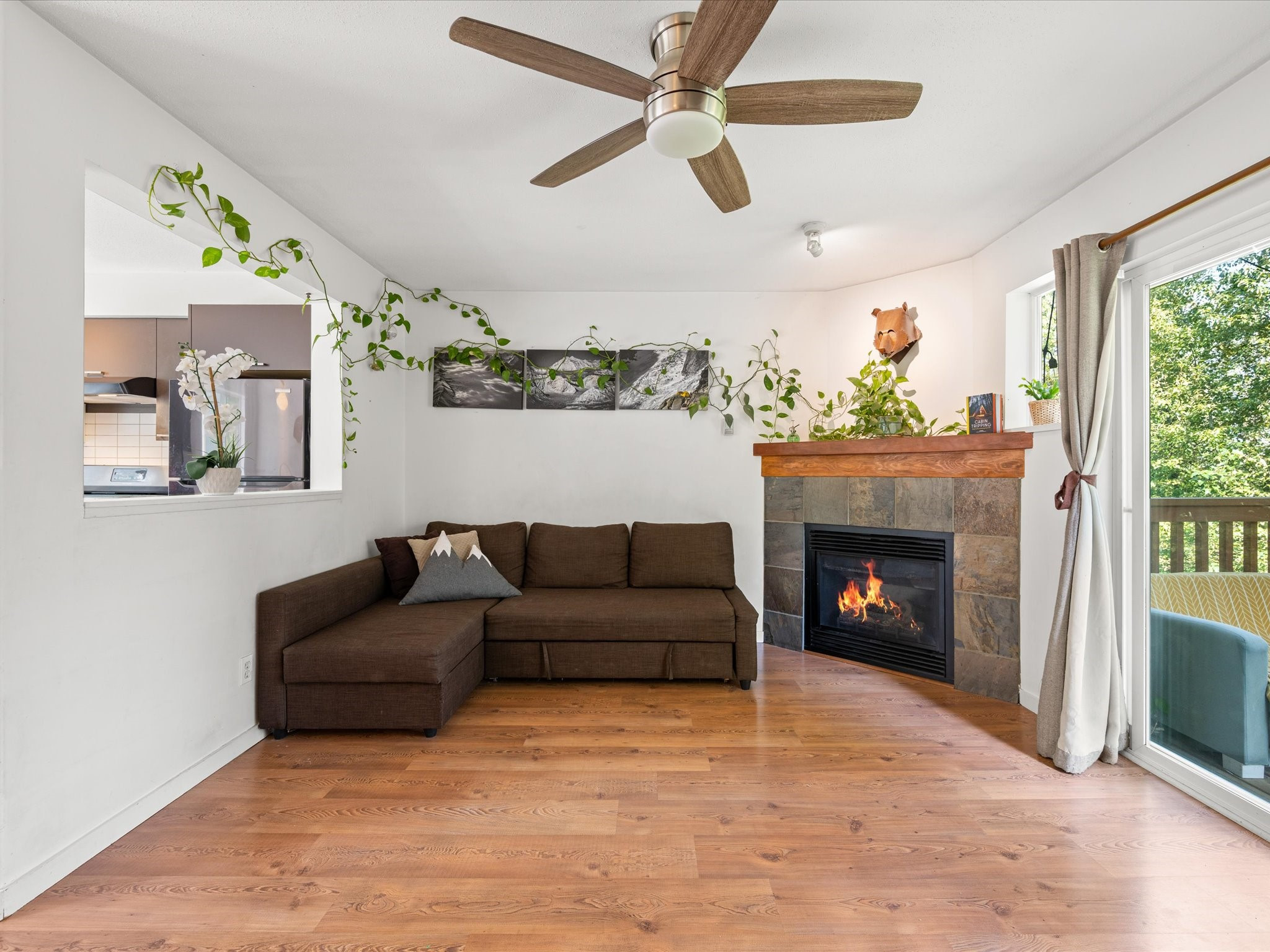 18-1450 Vine Road image 3