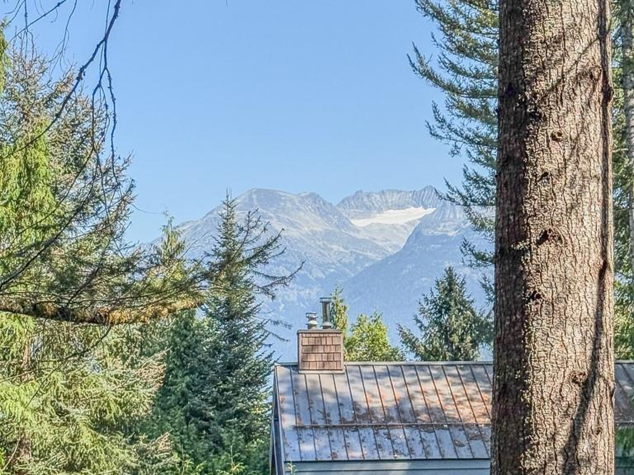 8232 Alpine Way image 1