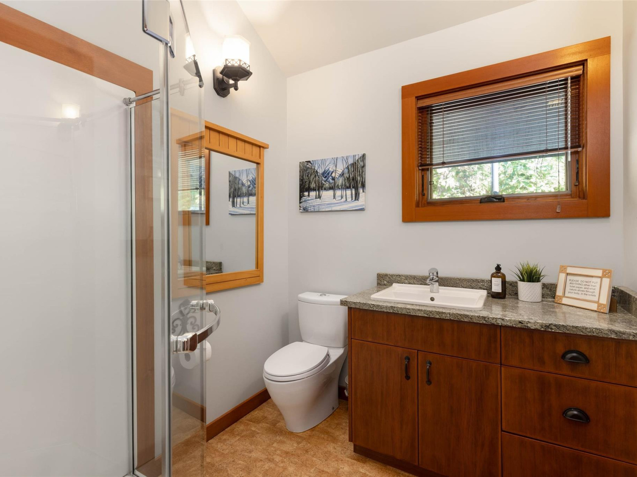 Lot 6-6500 In-Shuck-Ch Forest Service Road image 19