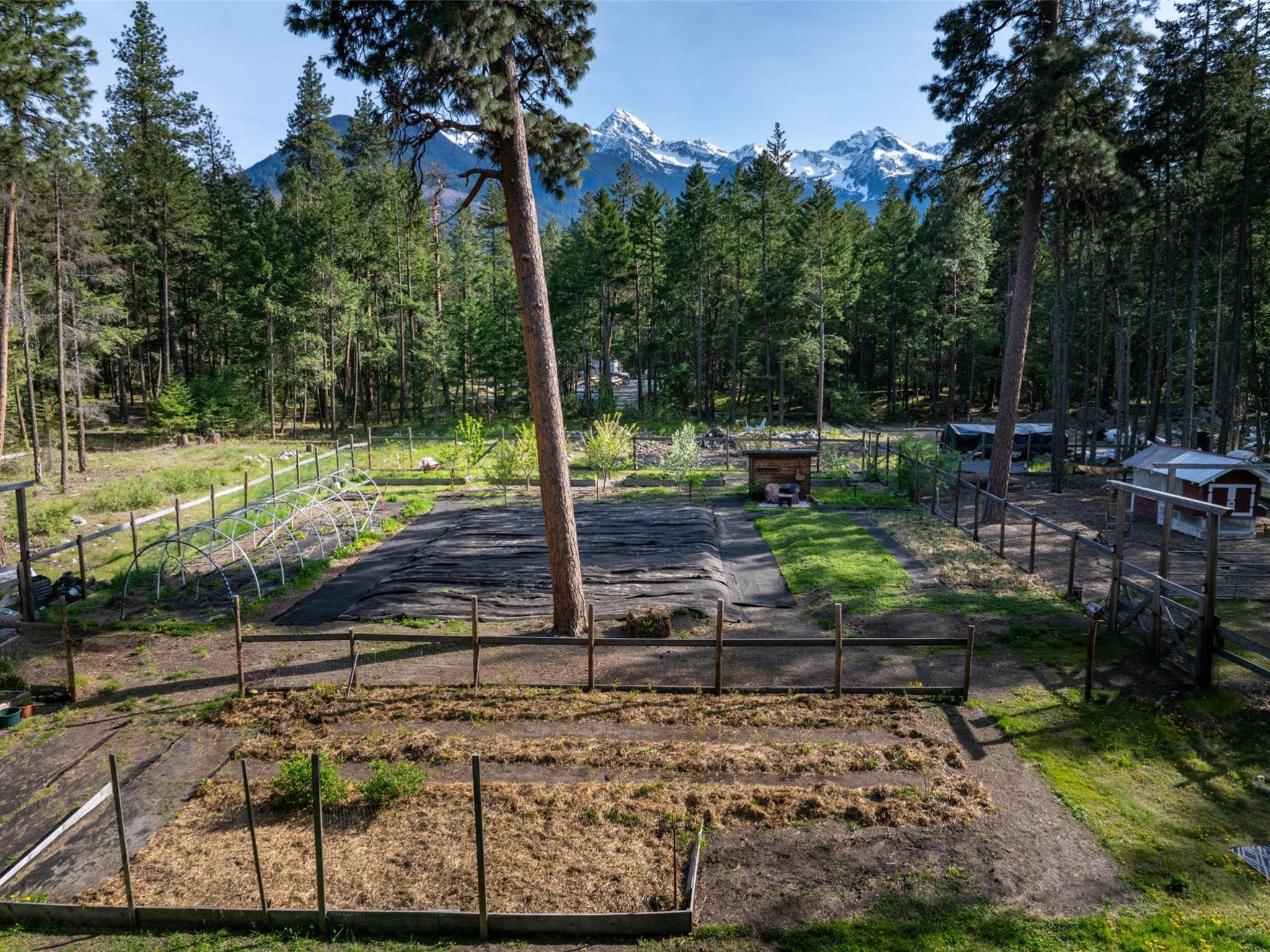 6-9866 Pemberton Portage Road image 1