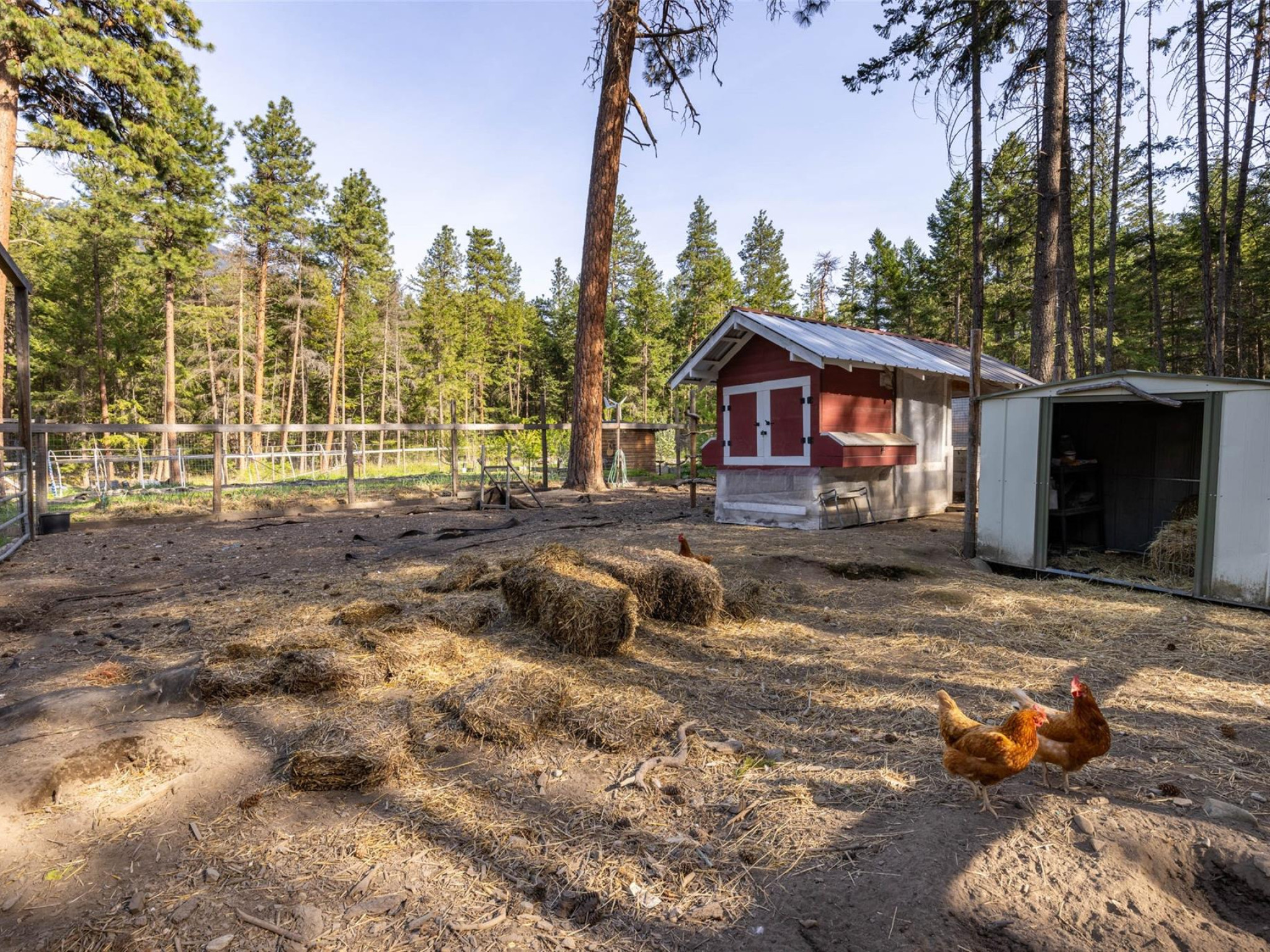 6-9866 Pemberton Portage Road image 24