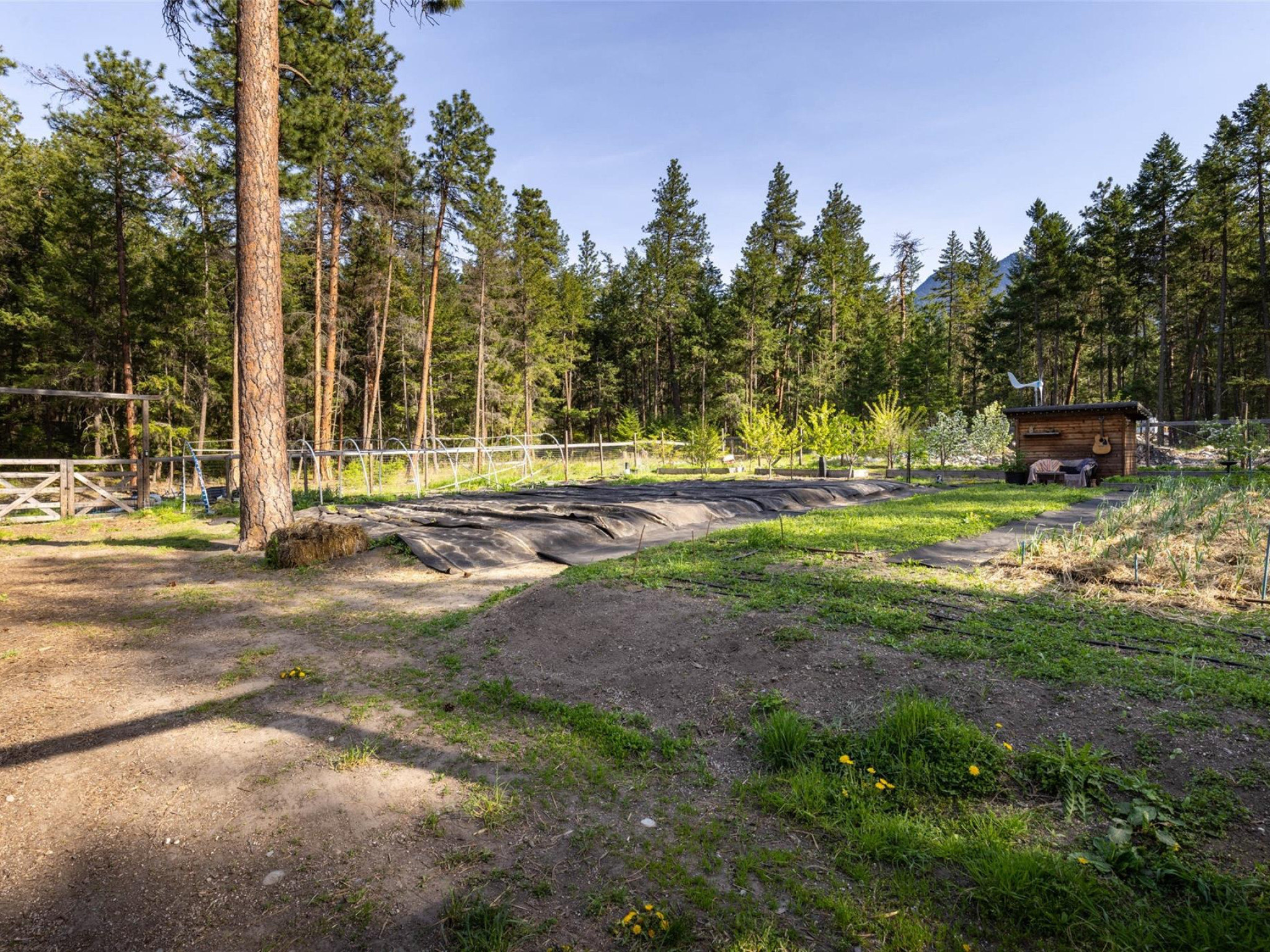 6-9866 Pemberton Portage Road image 28