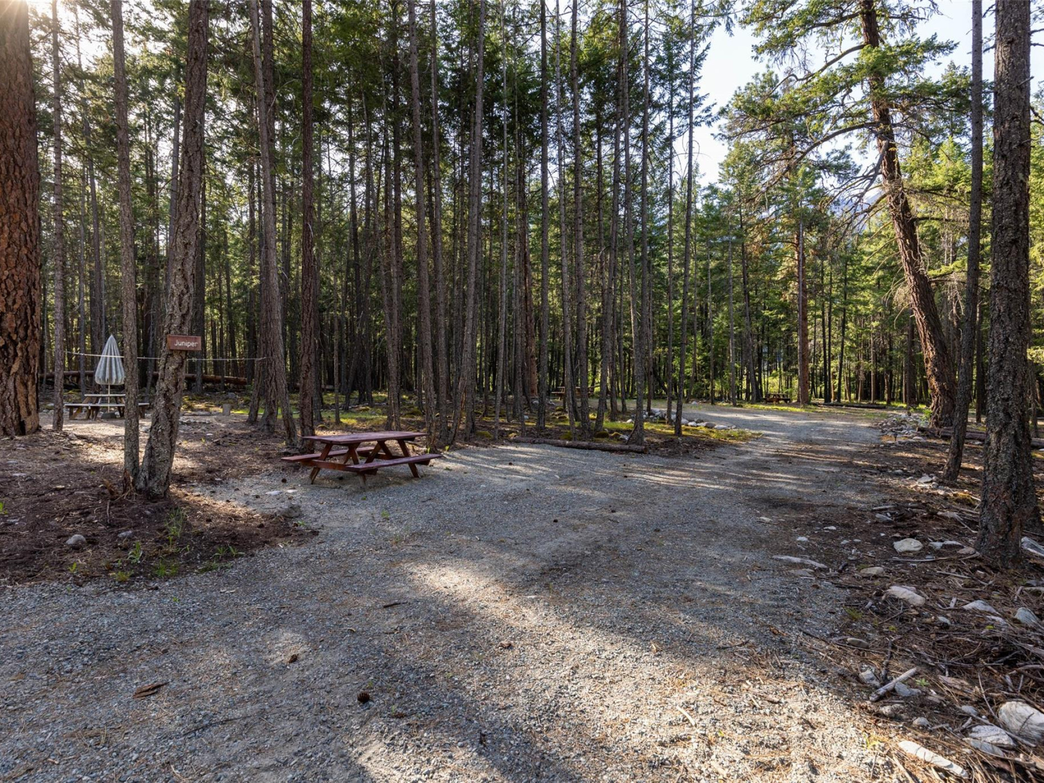 6-9866 Pemberton Portage Road image 31