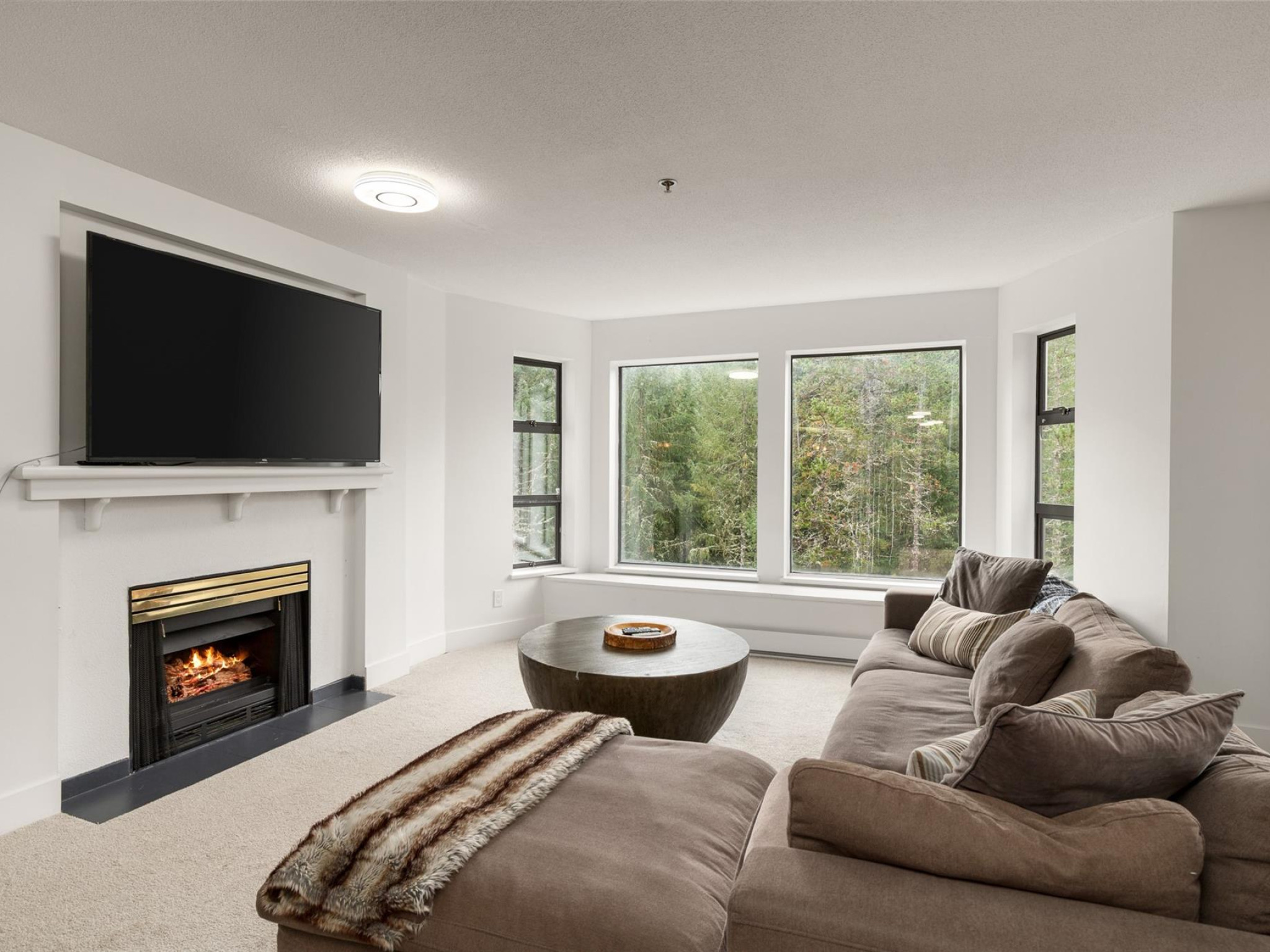 225-3309 Ptarmigan Place image 6