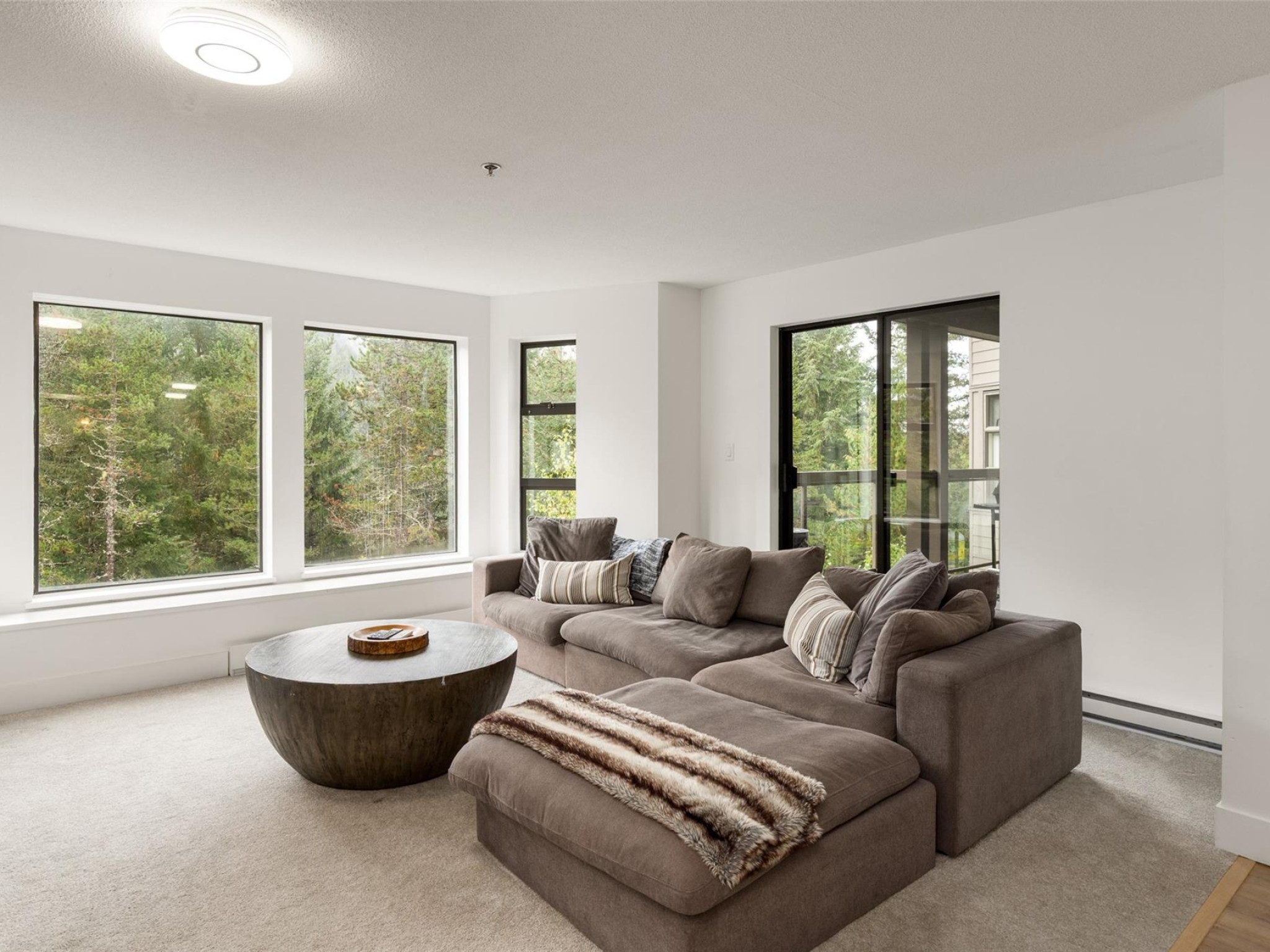 225-3309 Ptarmigan Place image 7