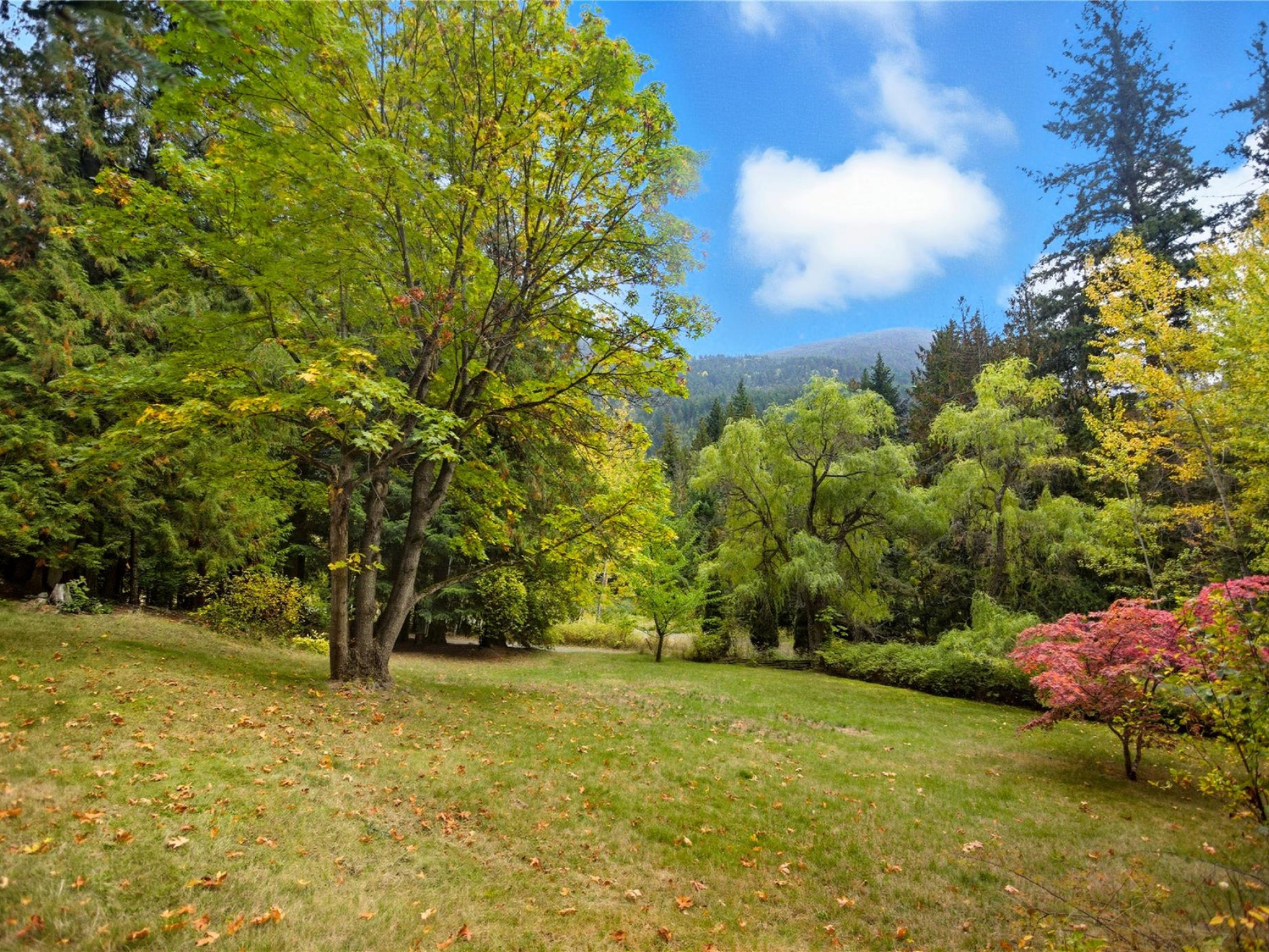 9257 Portage Road image 33