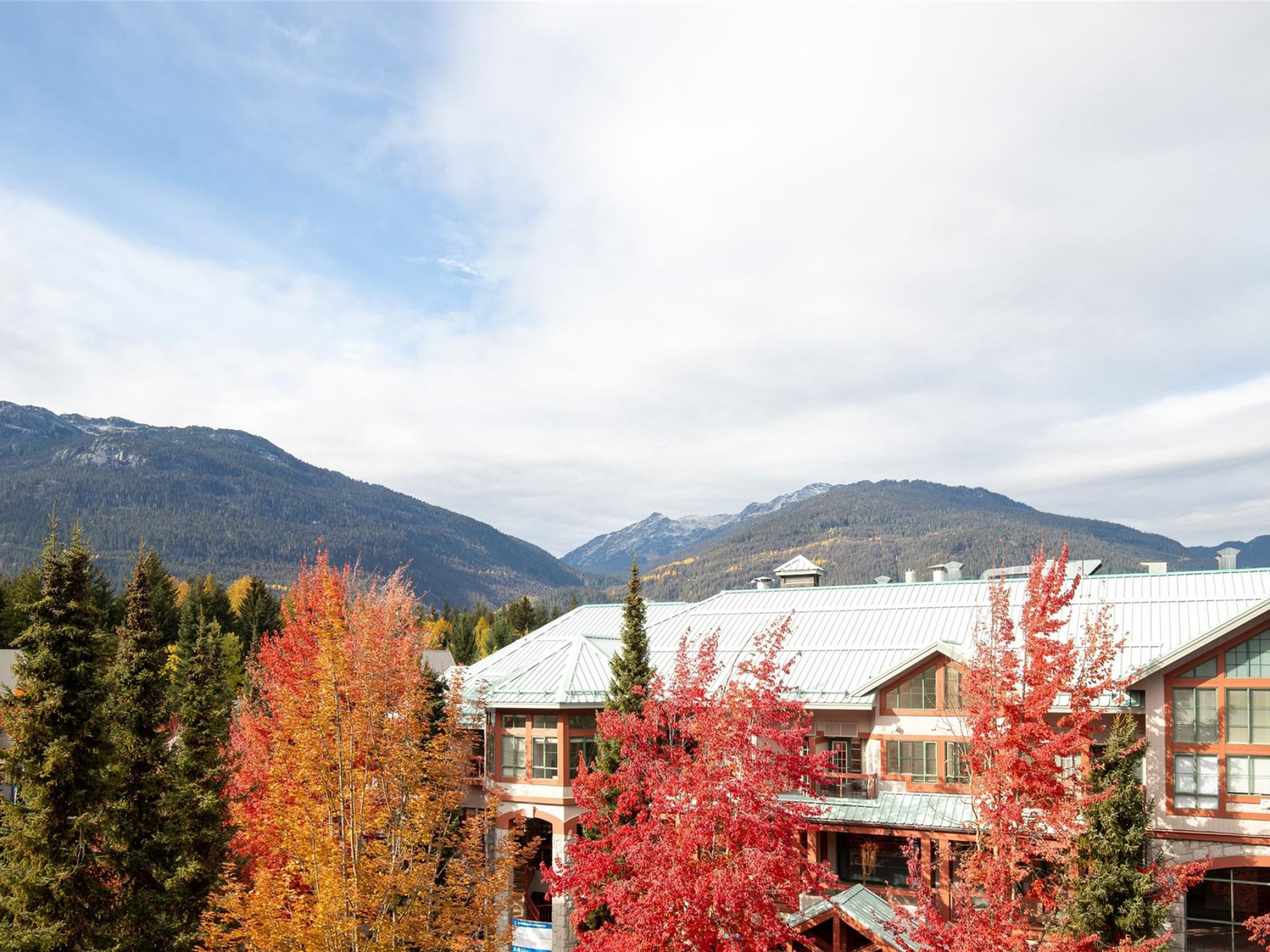 419-4369 Main Street image 8