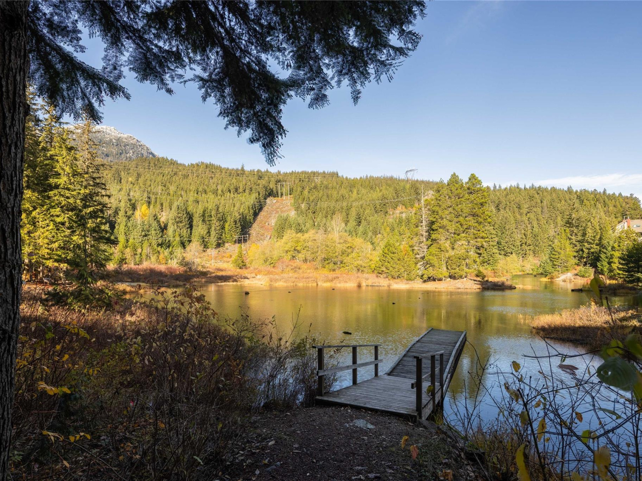 D103-1400 Alta Lake Road image 15