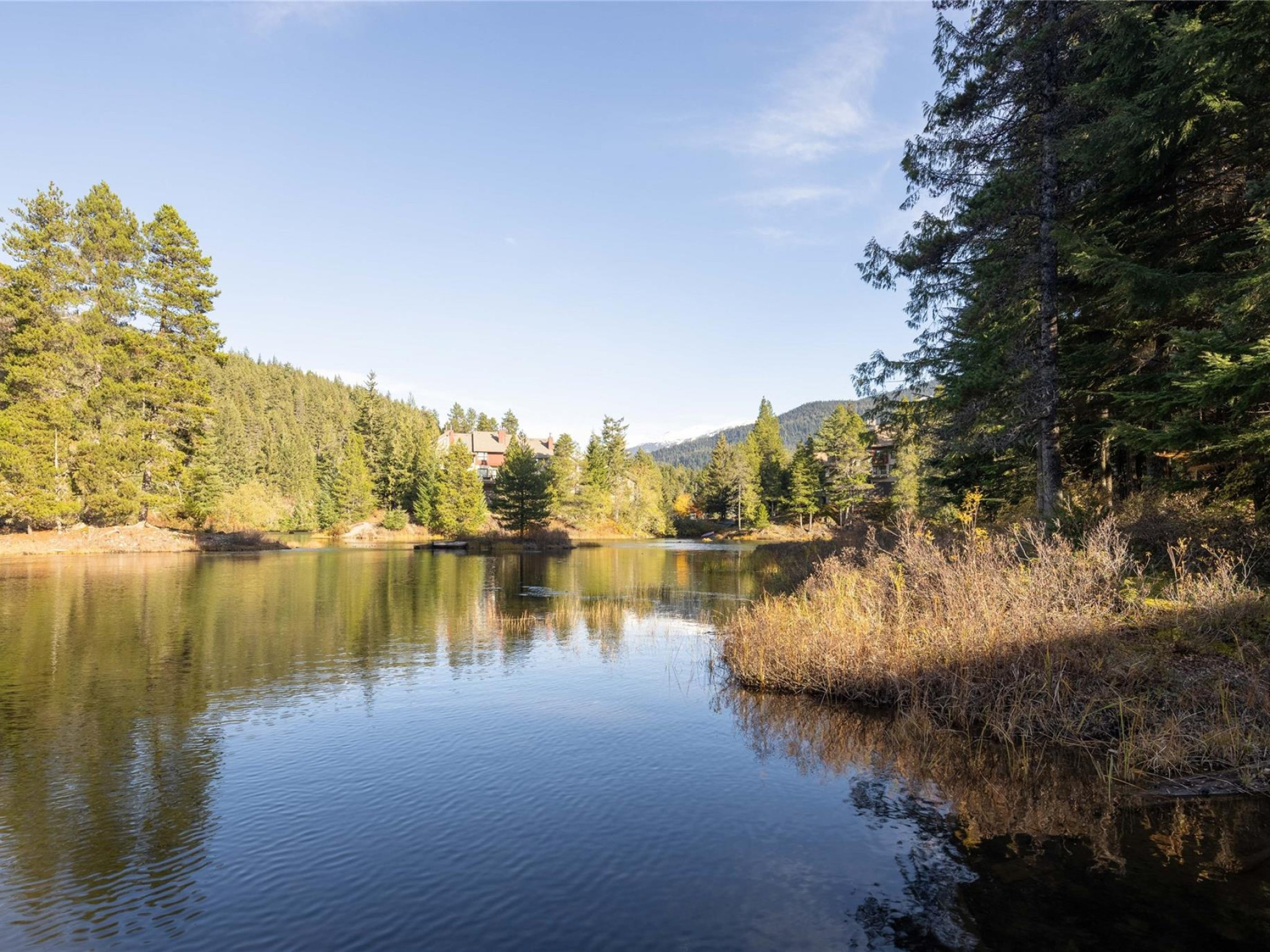 D103-1400 Alta Lake Road image 16