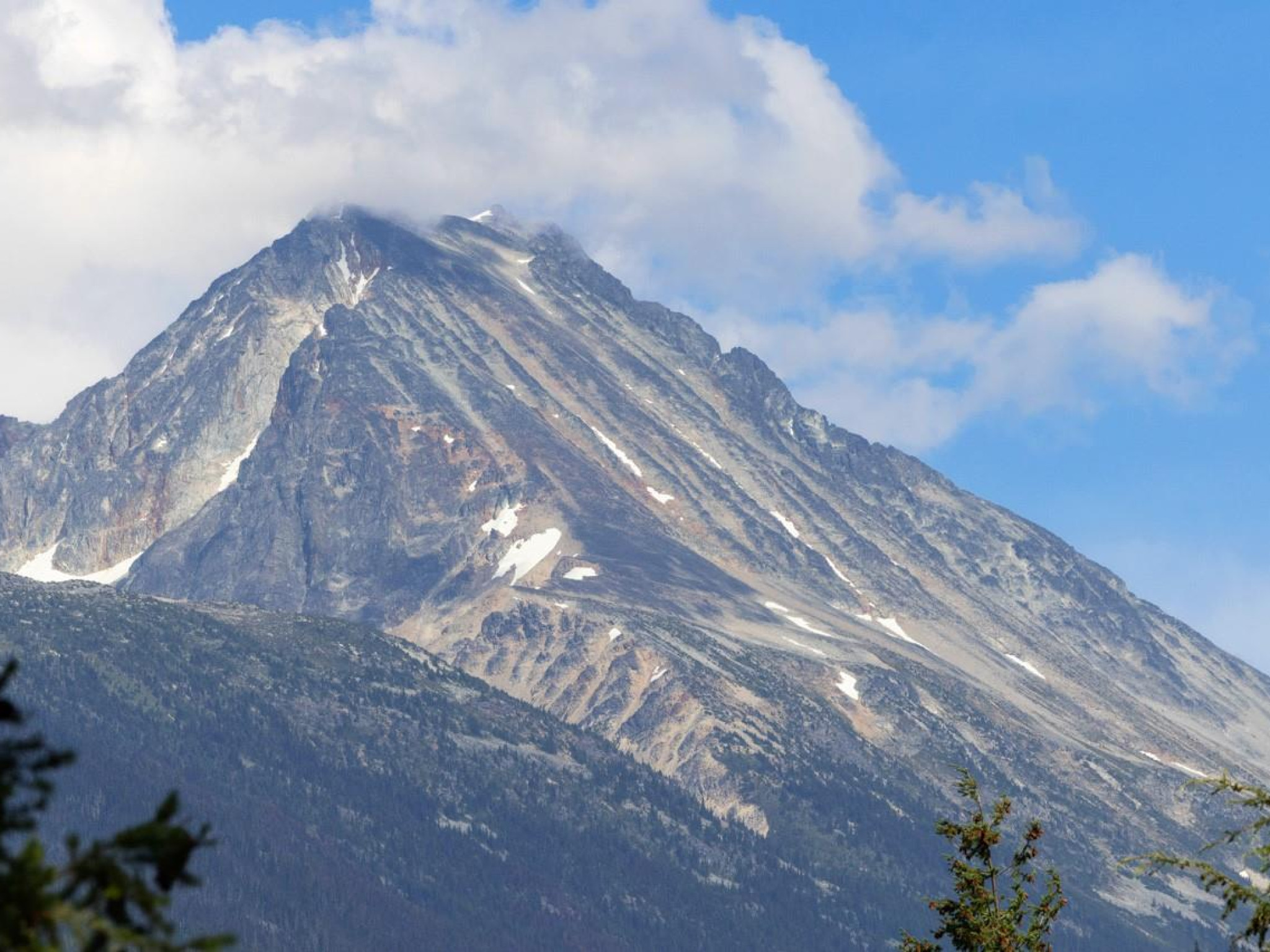 8328 Needles Drive image 30