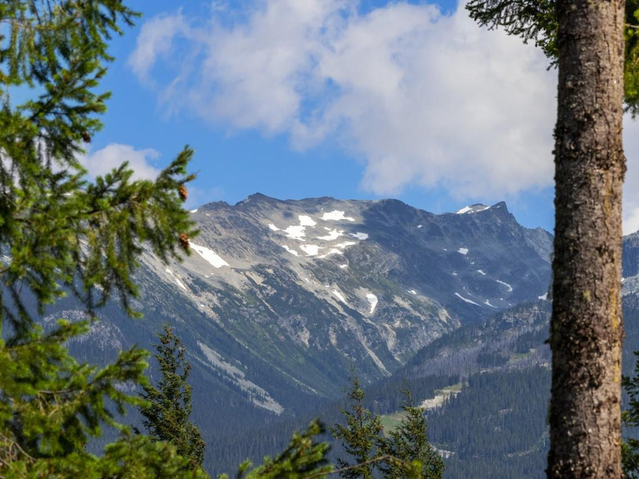 8328 Needles Drive image 31