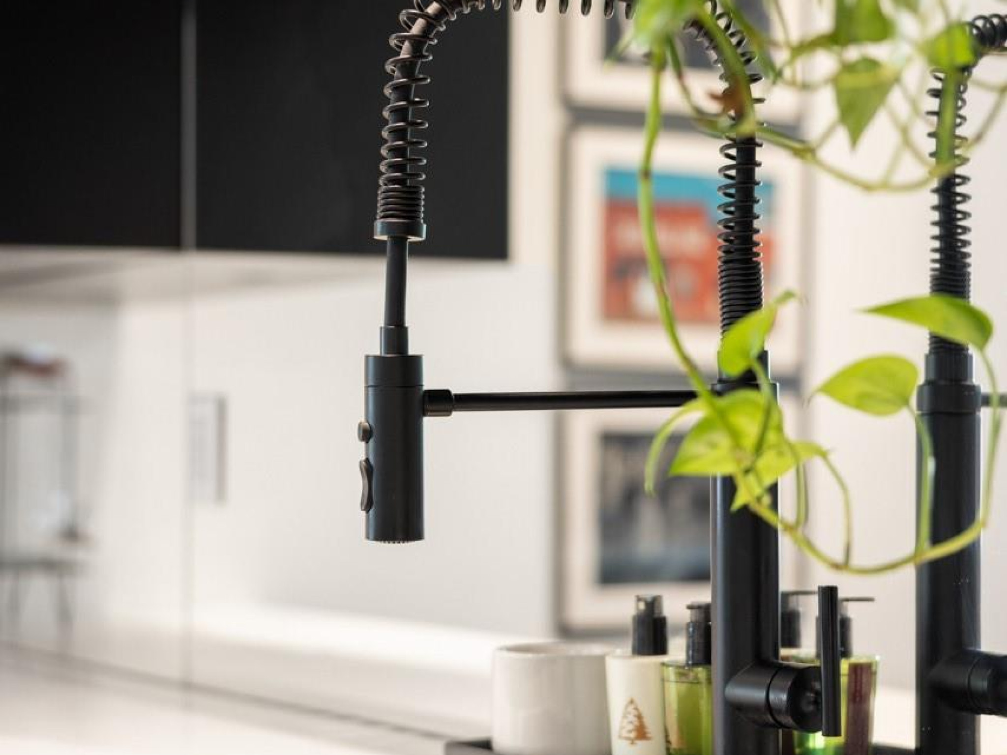 8328 Needles Drive image 5