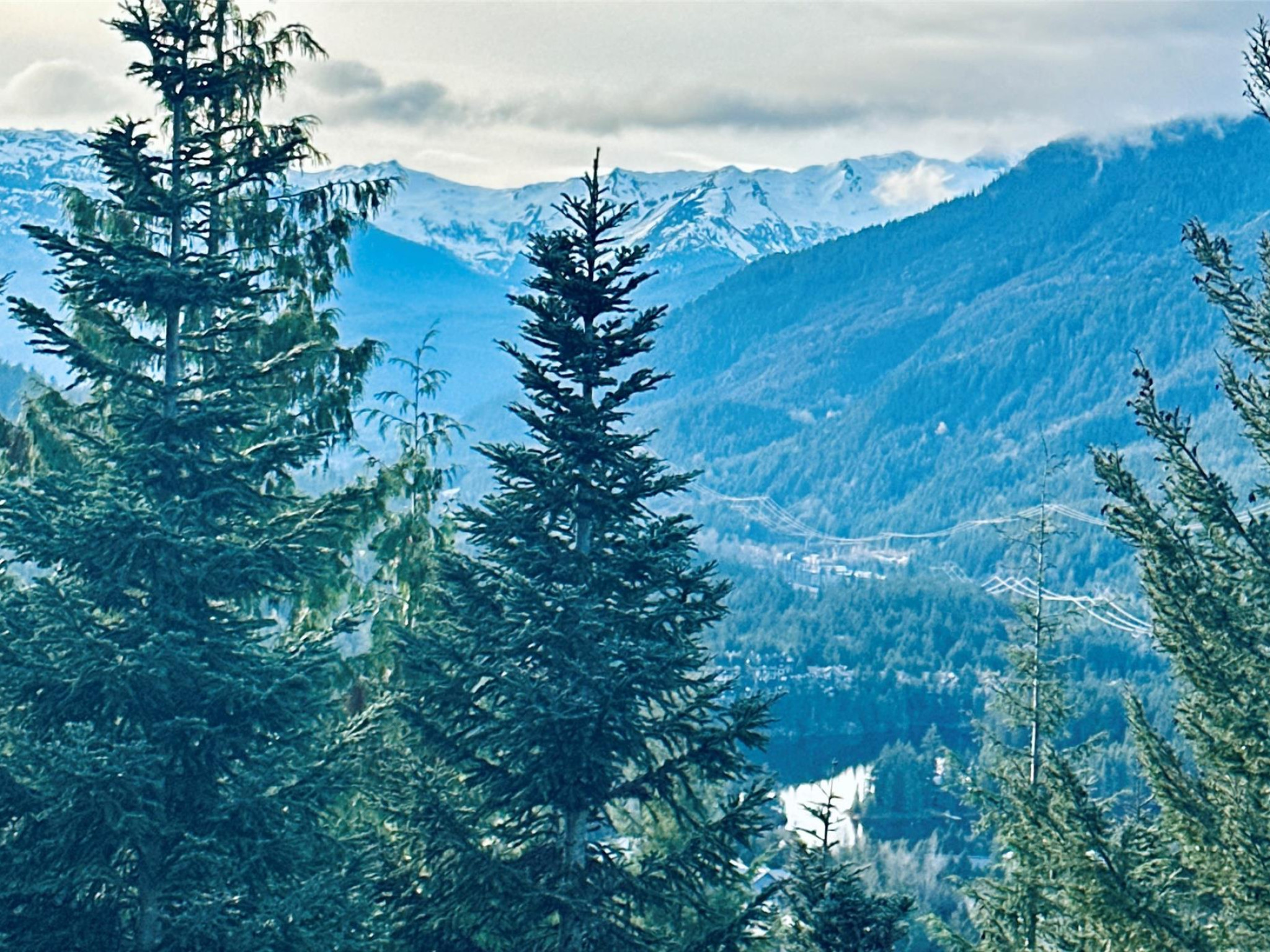 20-2301 Taluswood Place image 8