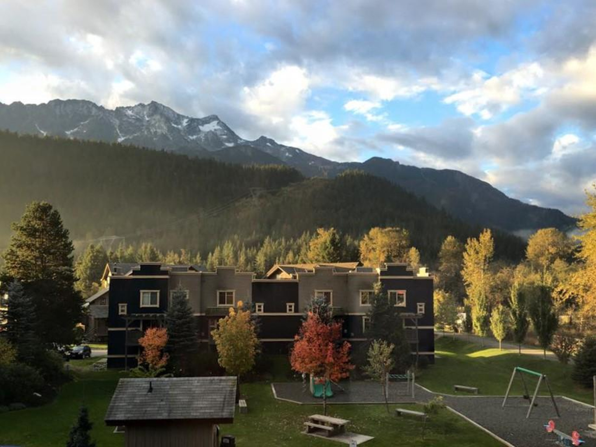 12-1442 Vine Road image 14