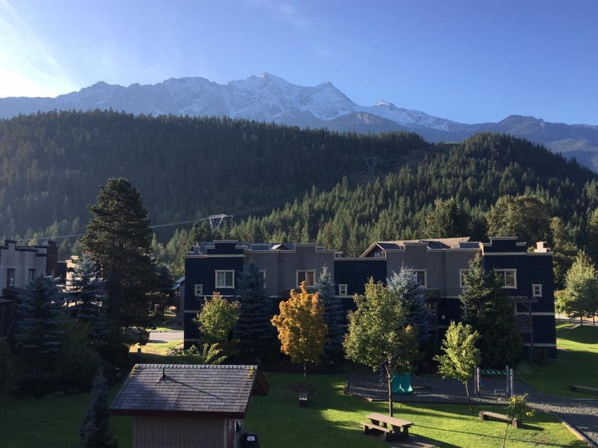 12-1442 Vine Road image 15