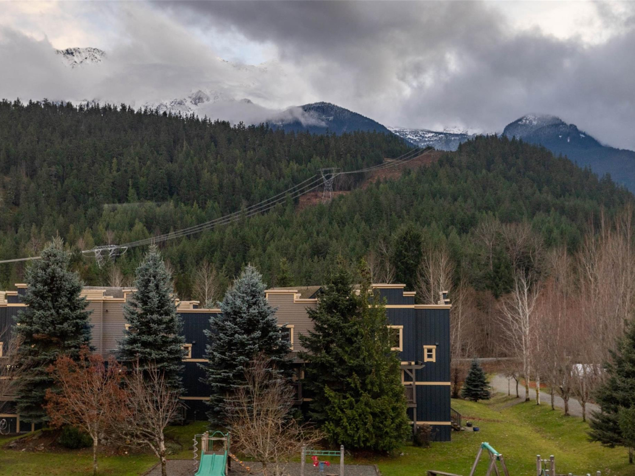 12-1442 Vine Road image 16