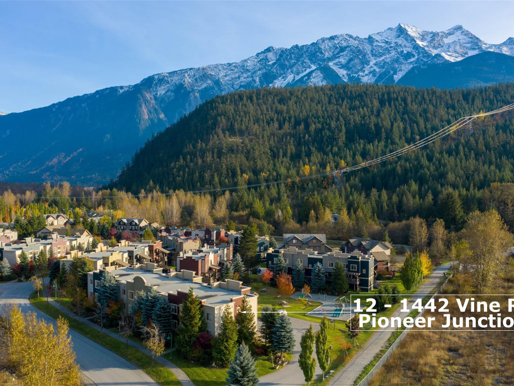 12-1442 Vine Road image 26