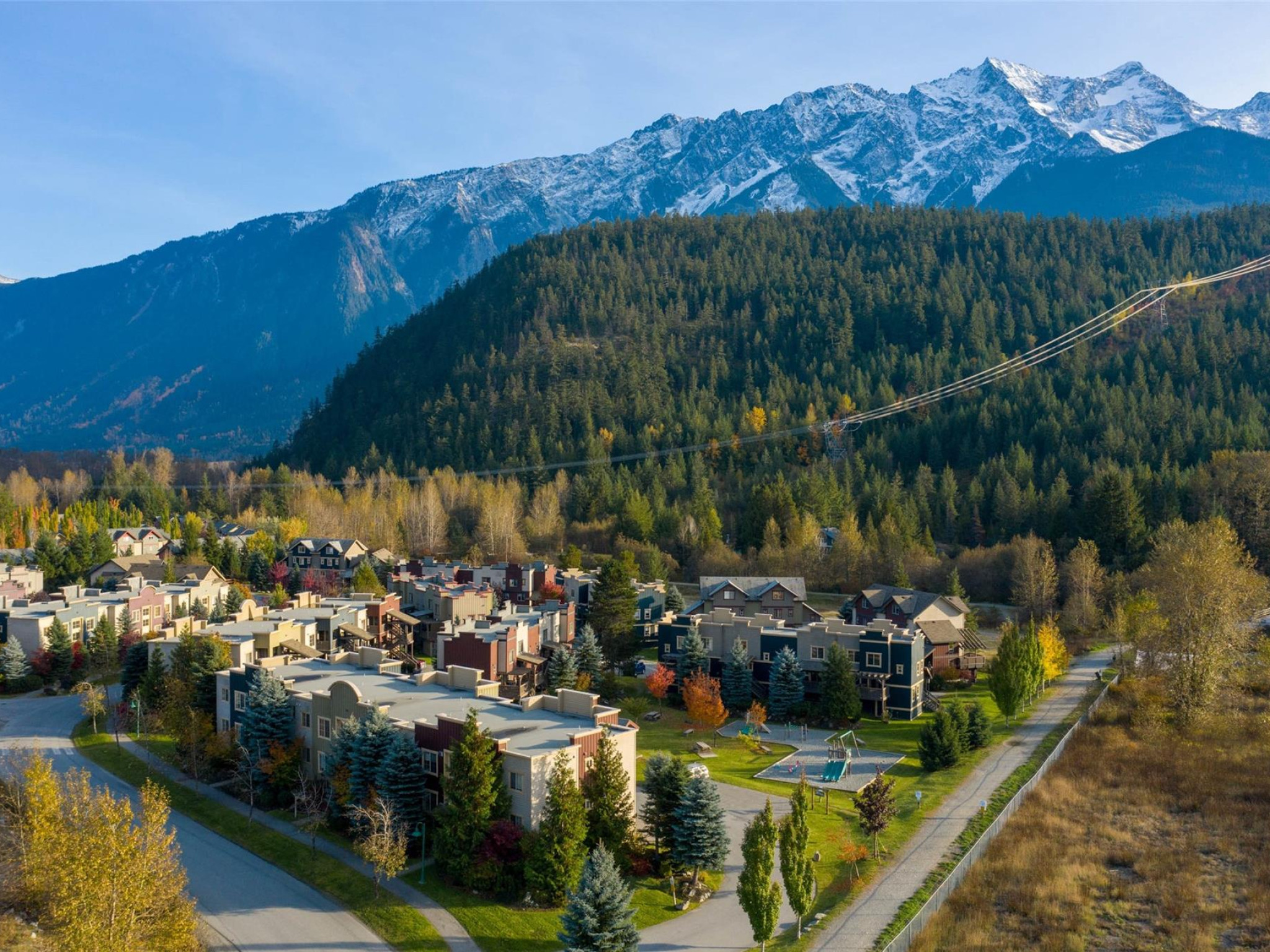 12-1442 Vine Road image 27