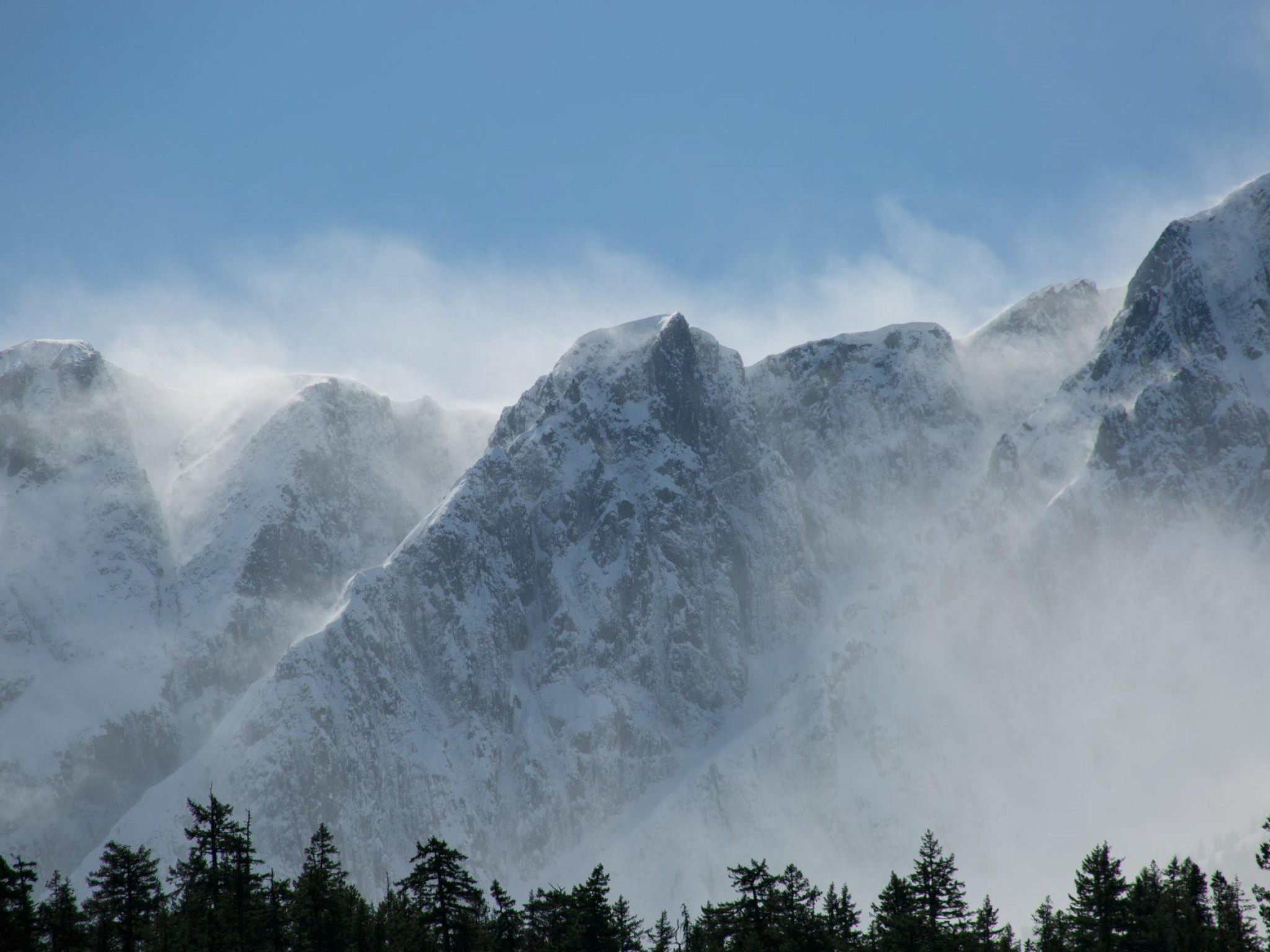 12-1442 Vine Road image 28