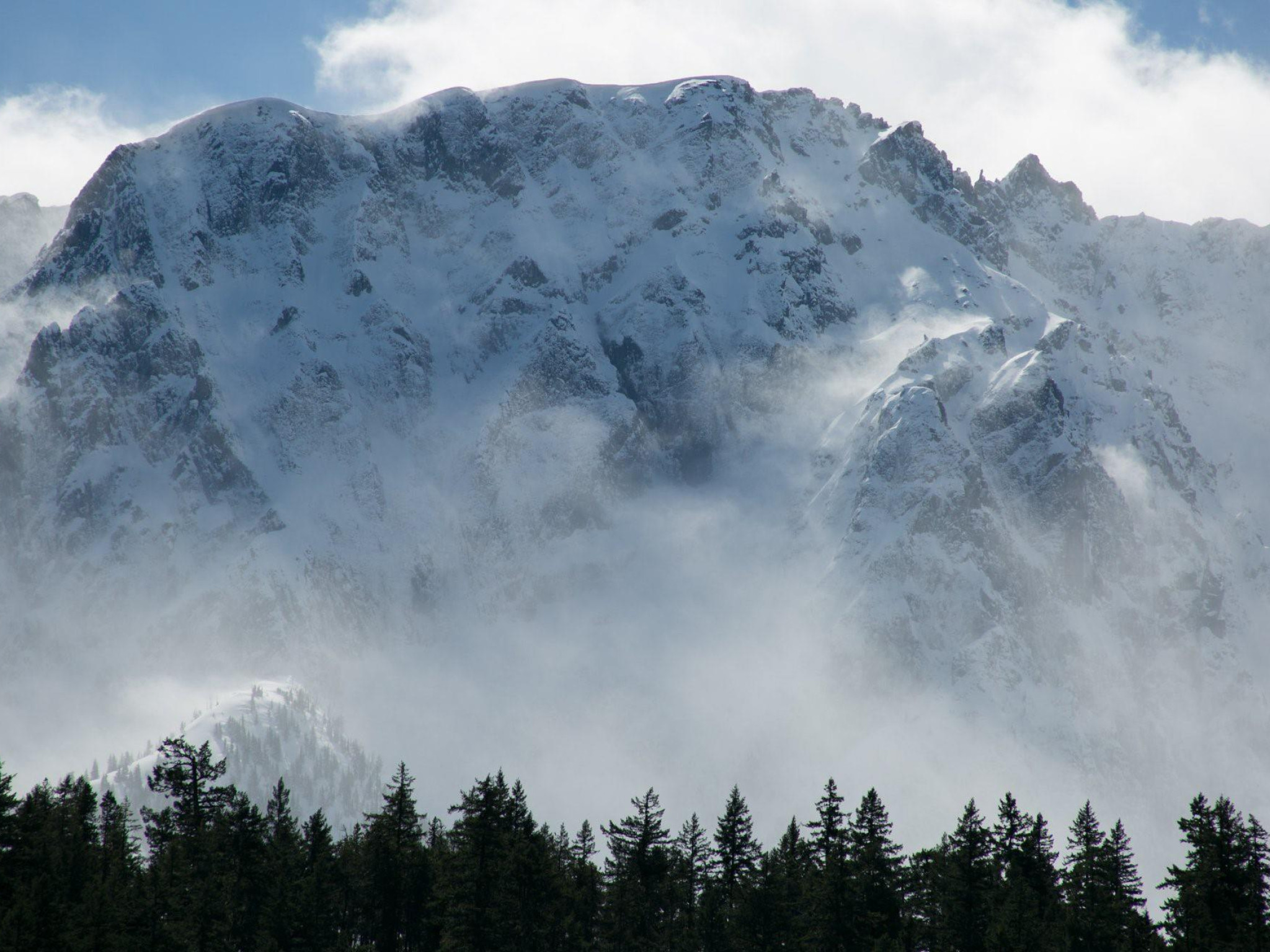 12-1442 Vine Road image 29