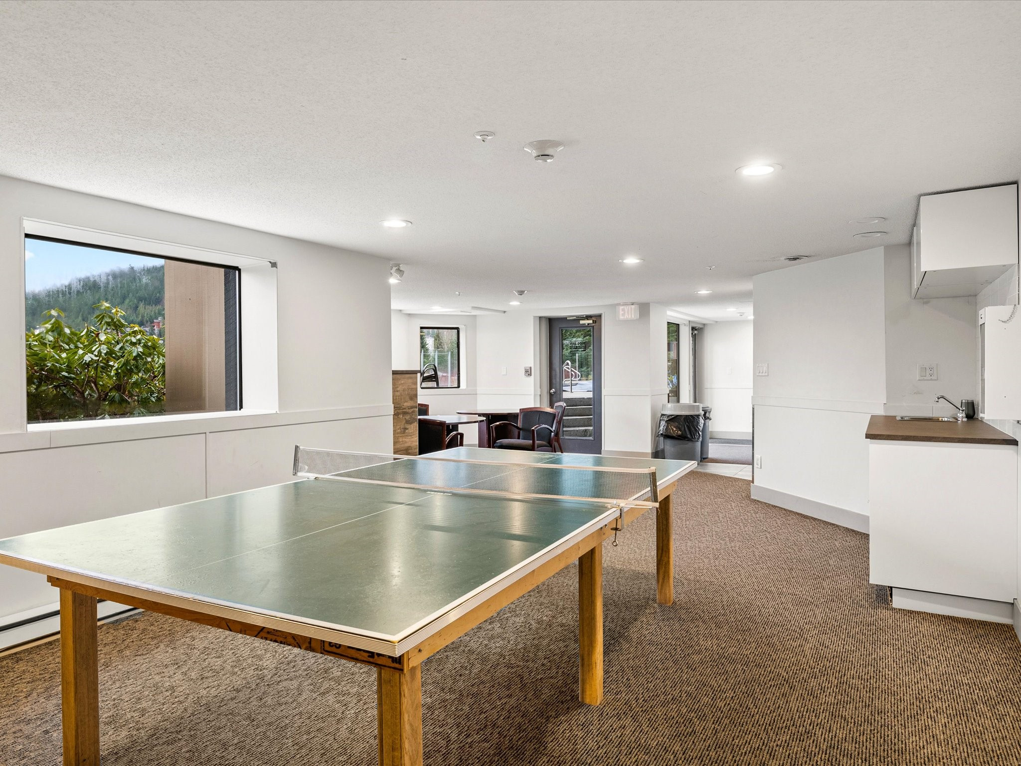 105-3217 Blueberry Drive image 22