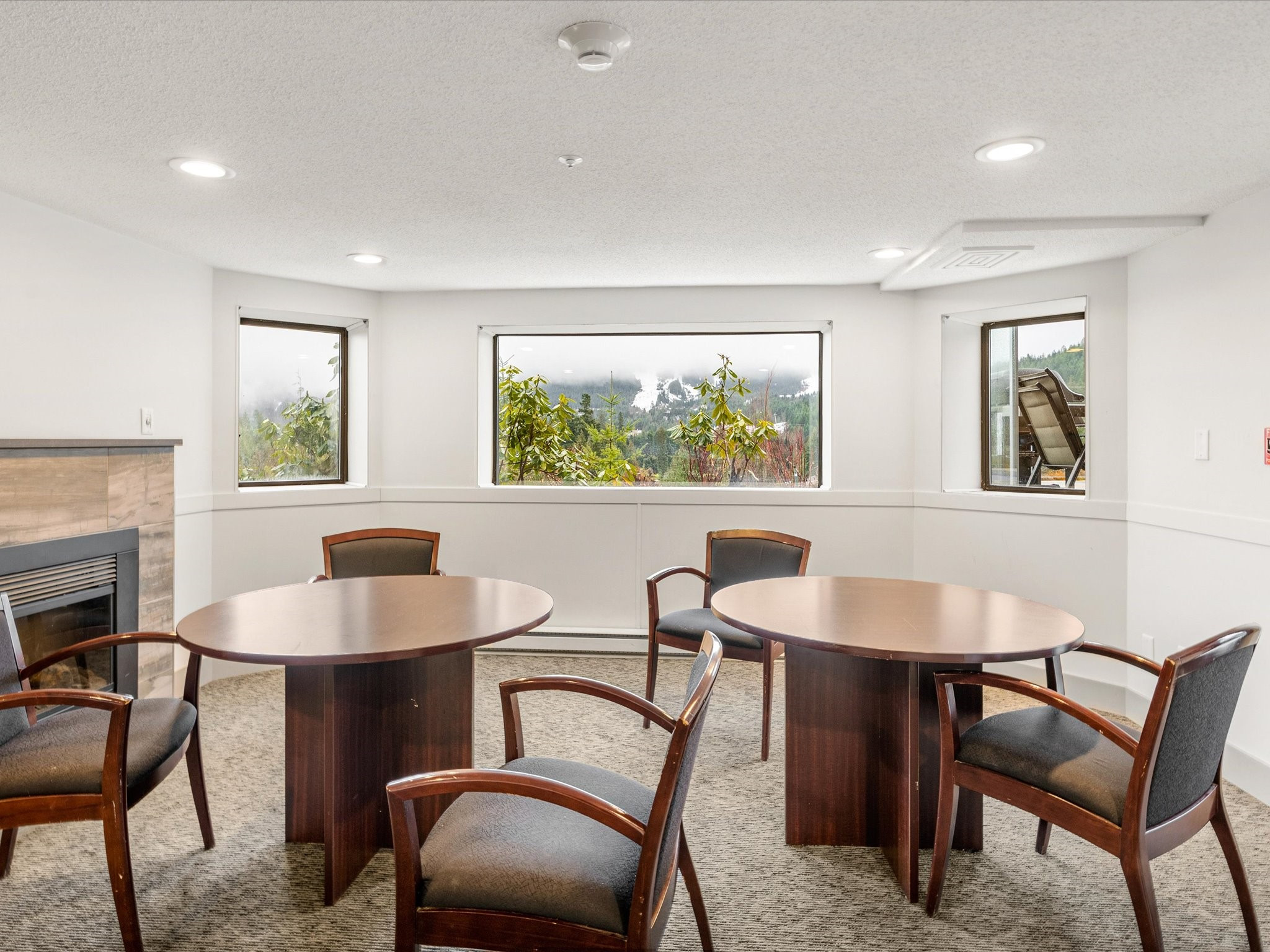 105-3217 Blueberry Drive image 23