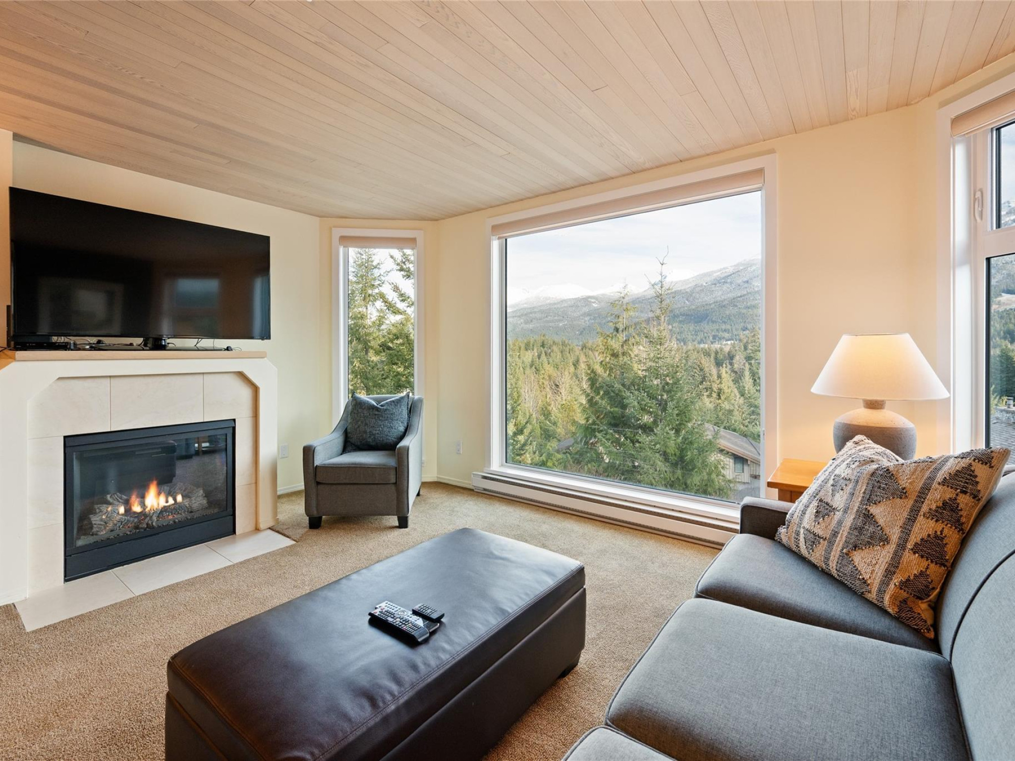 105-3217 Blueberry Drive image 3