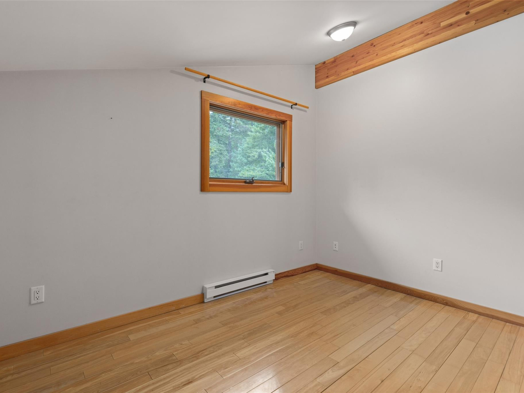 3492 Blackwater Road image 16