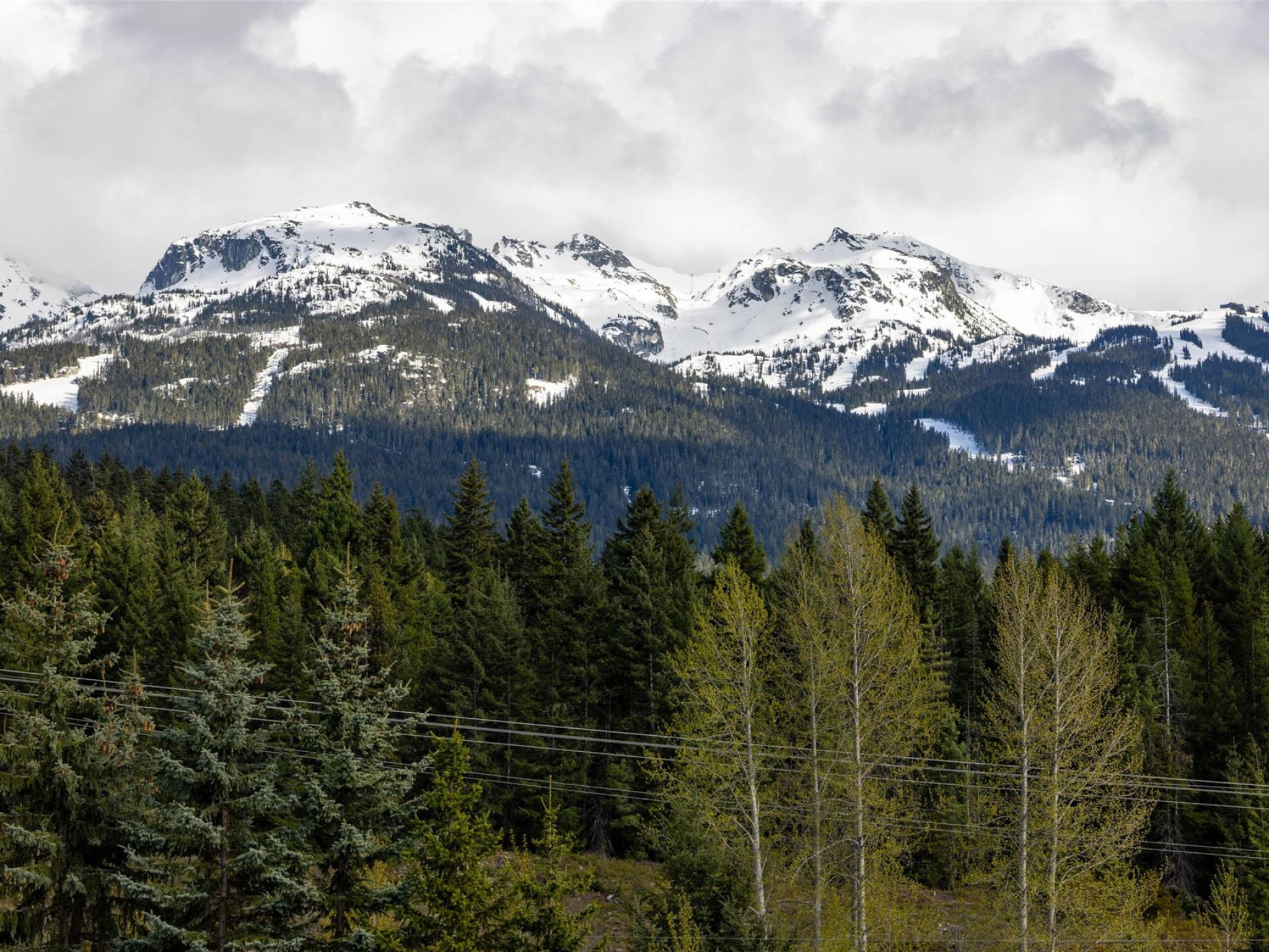 210-8080 Nicklaus North Boulevard image 9