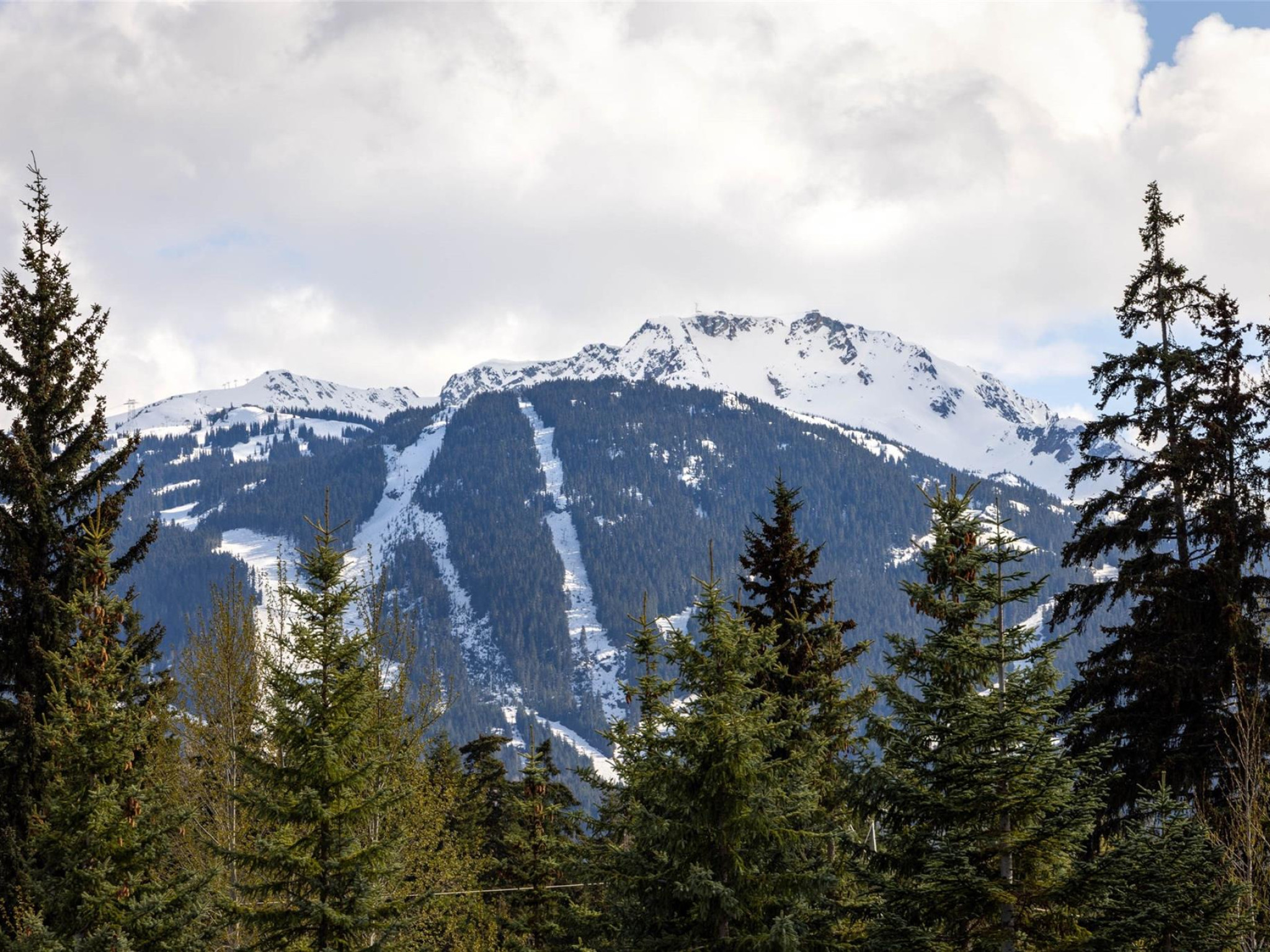 210-8080 Nicklaus North Boulevard image 10