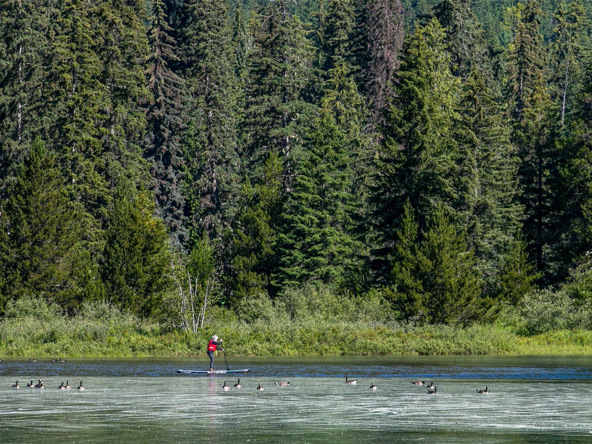 210-8080 Nicklaus North Boulevard image 27