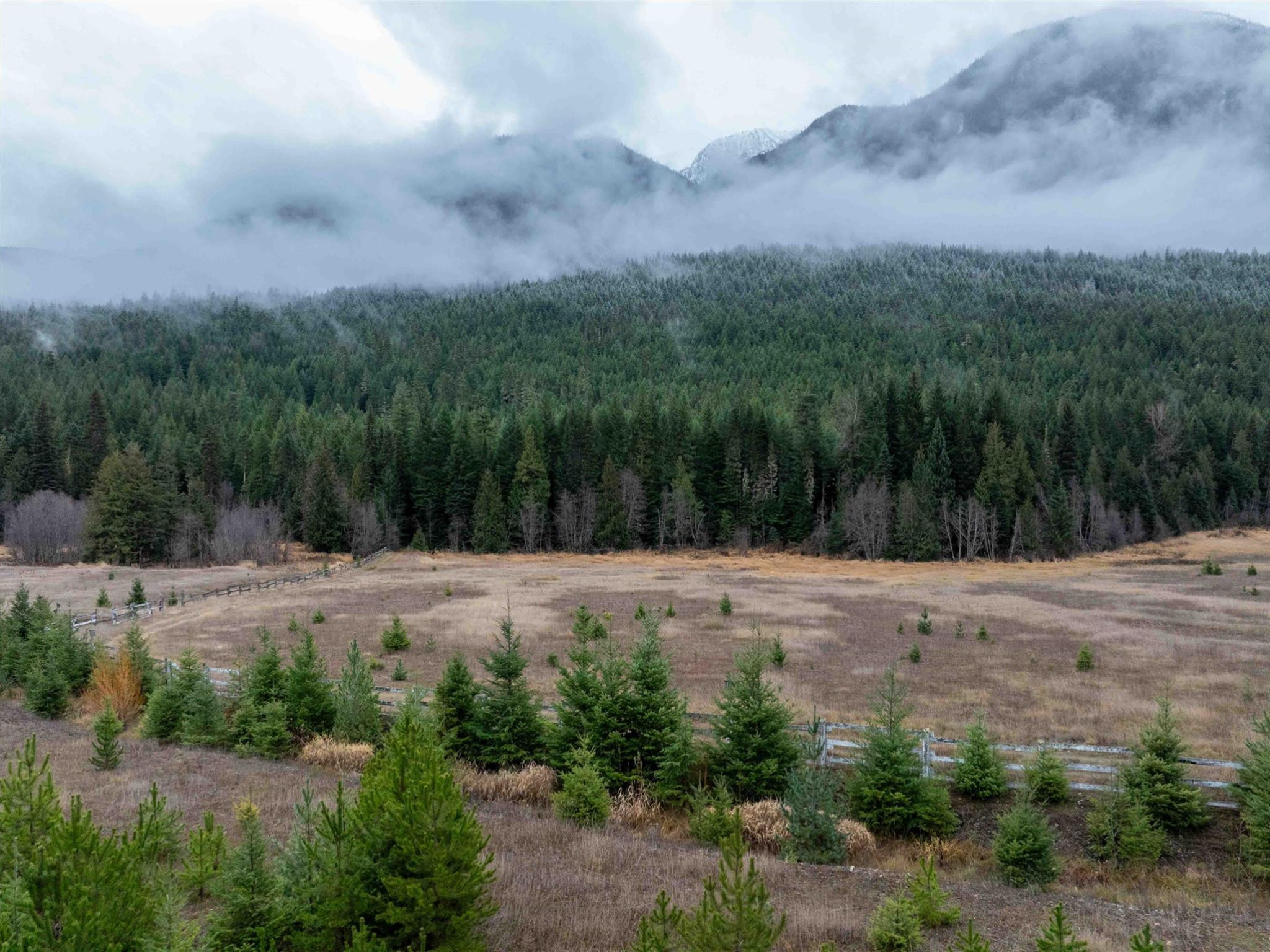 2690 Blackwater Road image 13