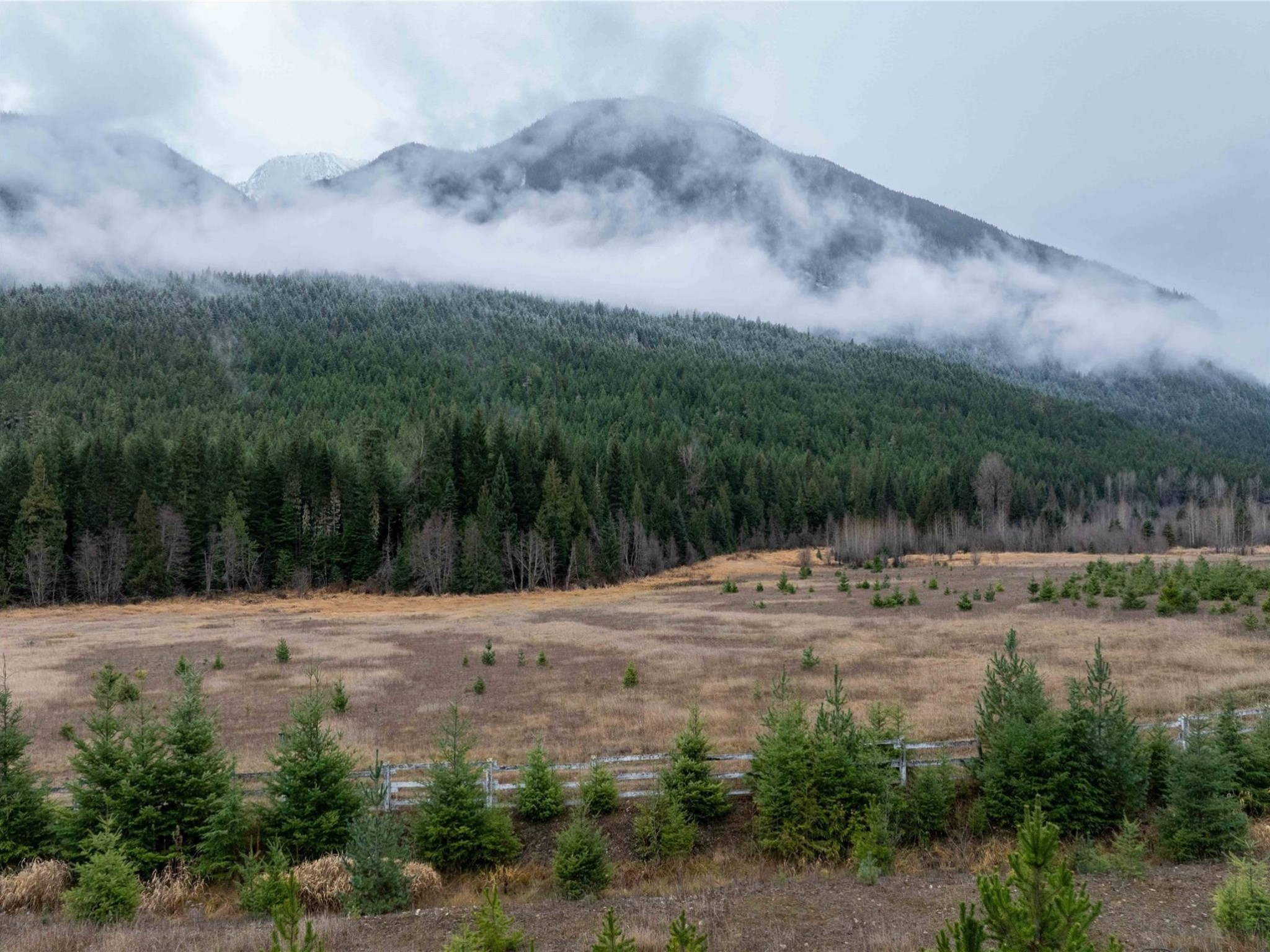 2690 Blackwater Road image 14