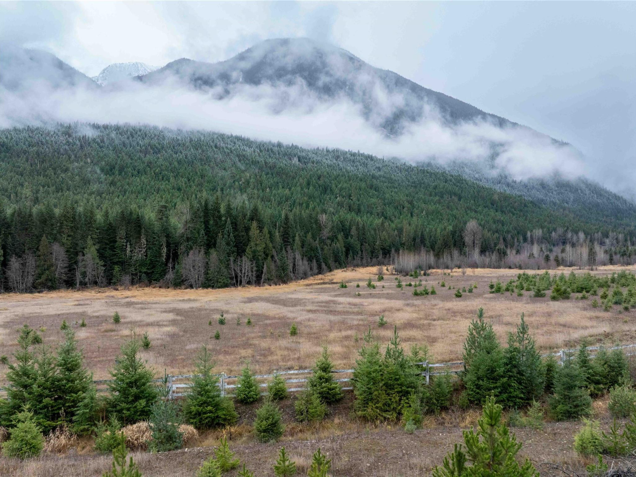 2690 Blackwater Road image 5