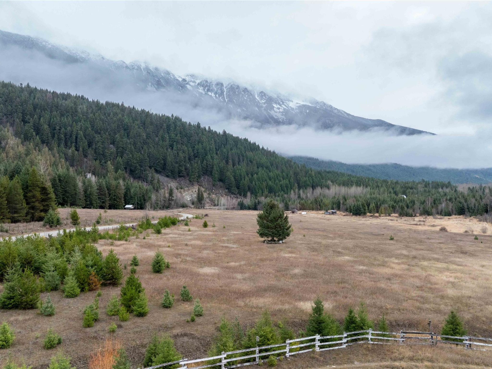 2690 Blackwater Road image 7