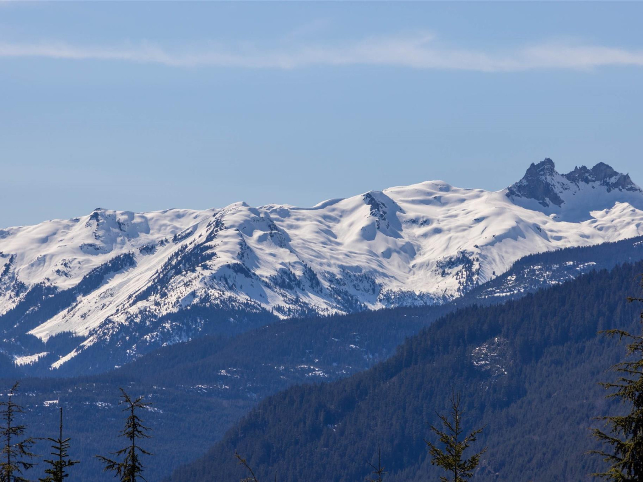 2924 Big Timber Court image 14