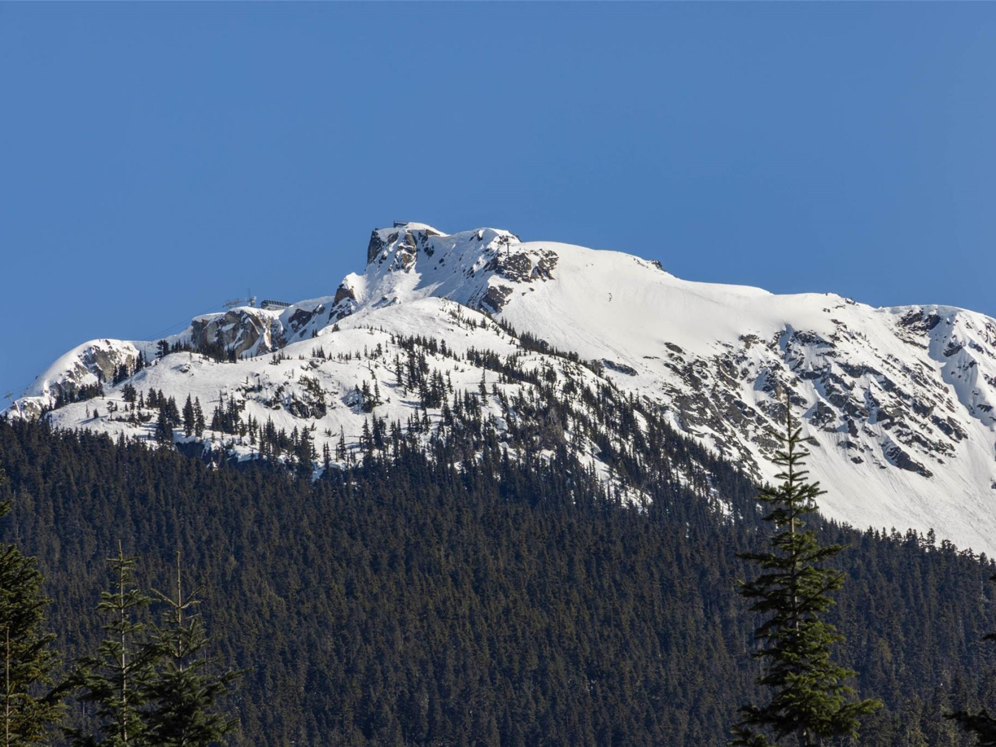 2924 Big Timber Court image 18