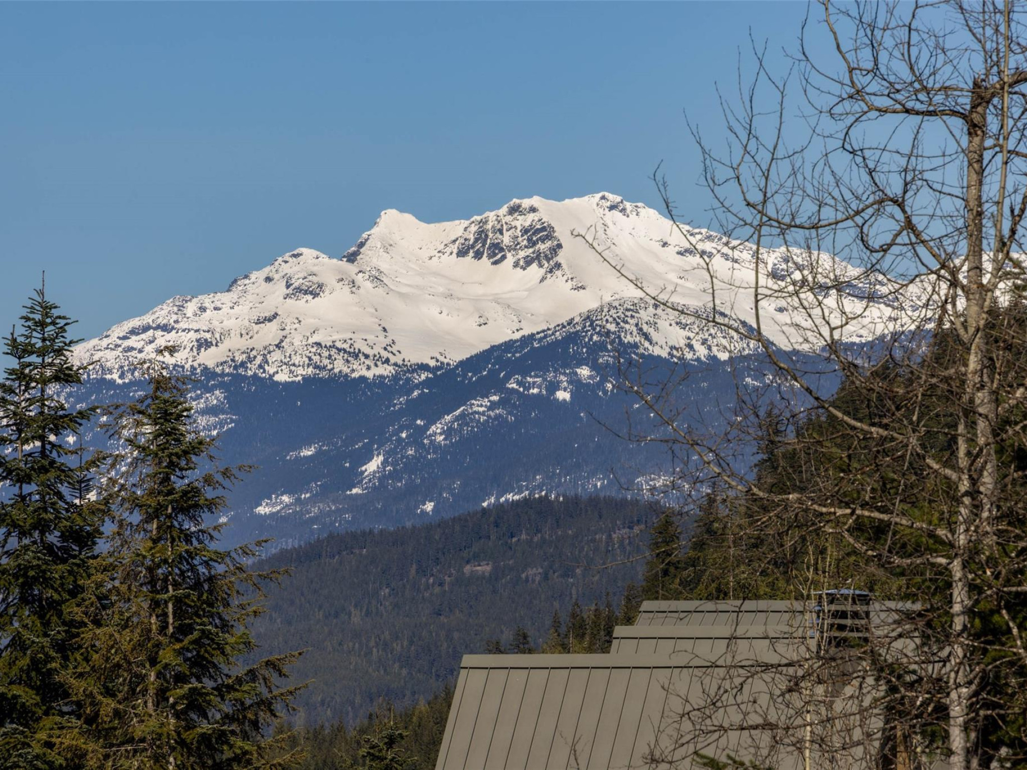 2924 Big Timber Court image 23