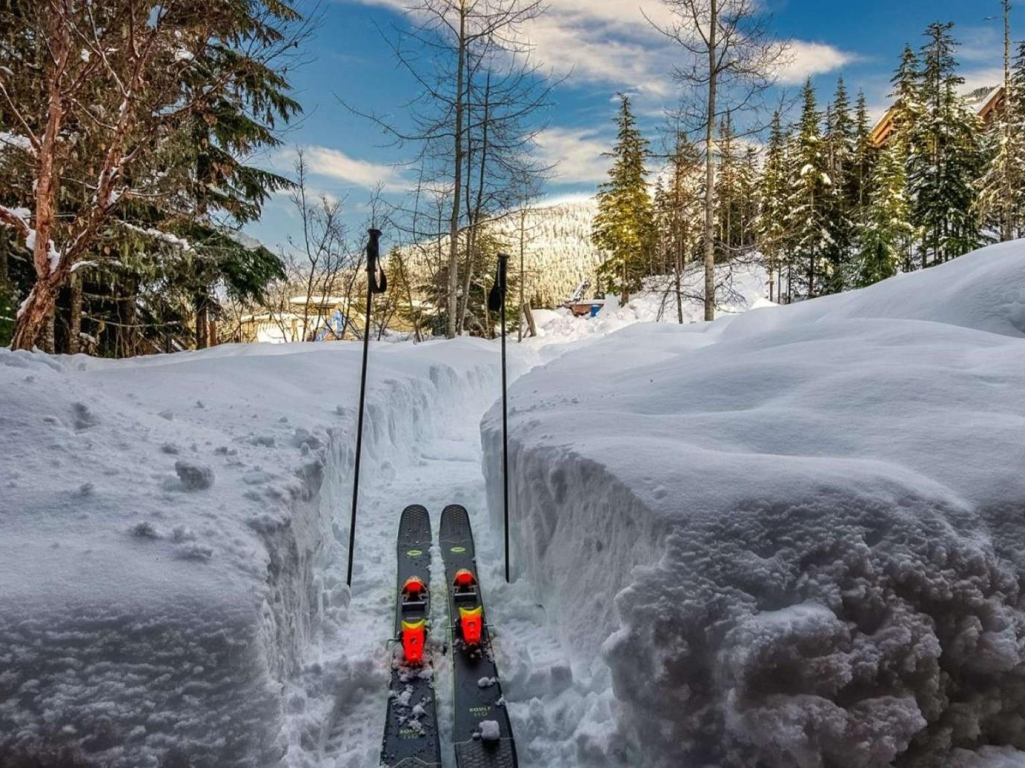 2924 Big Timber Court image 2