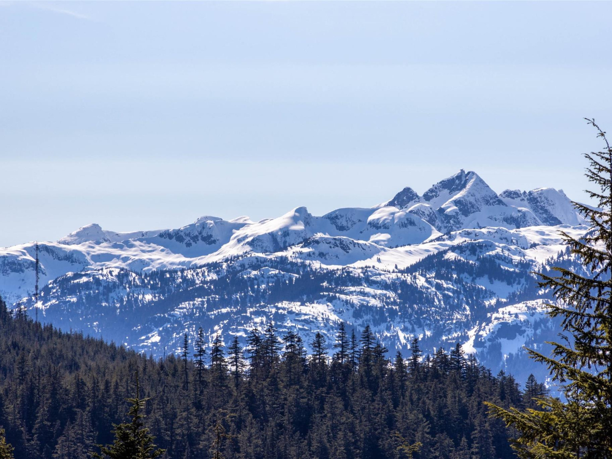 2924 Big Timber Court image 39