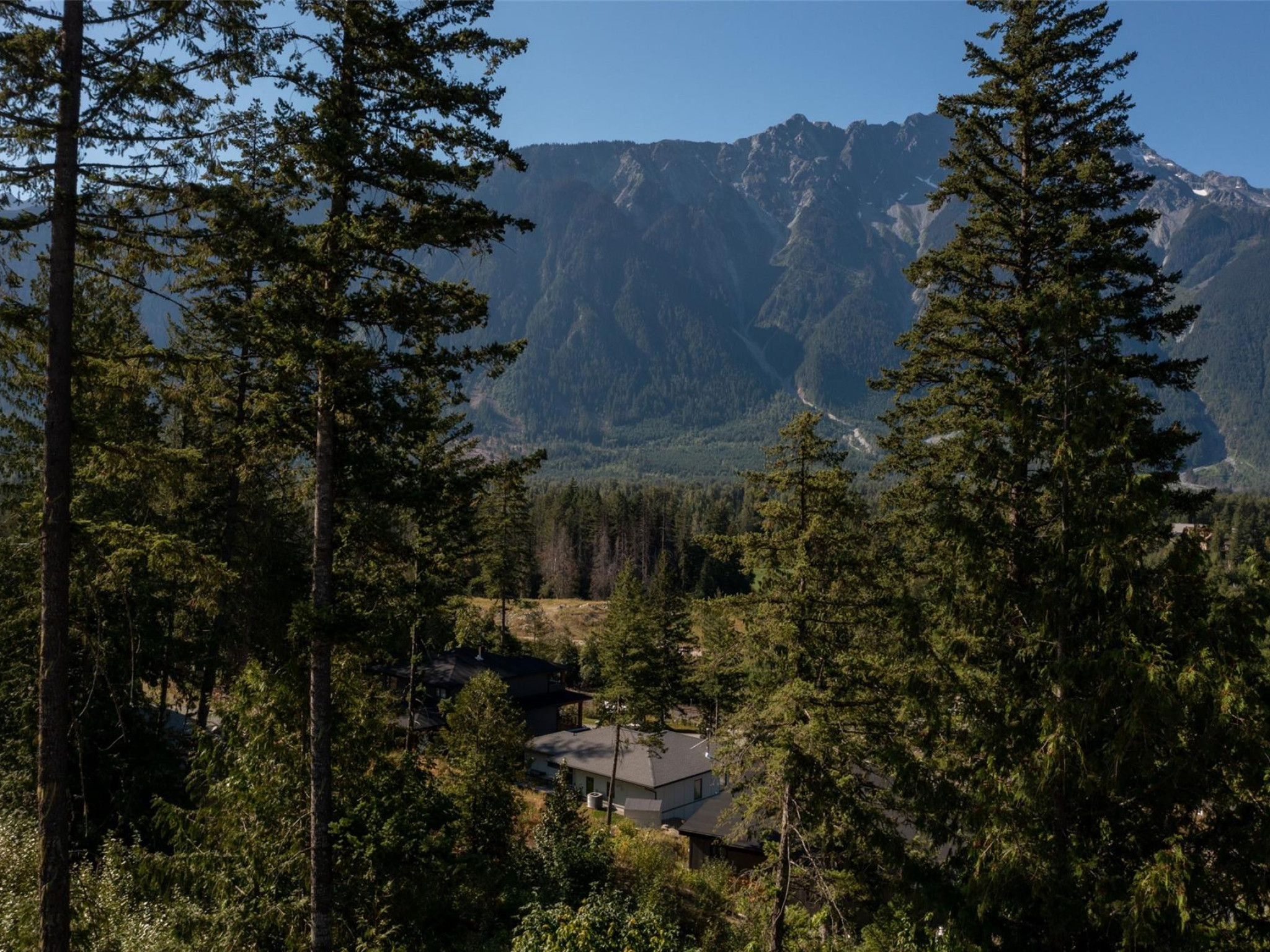 7677 Cerulean Drive image 12