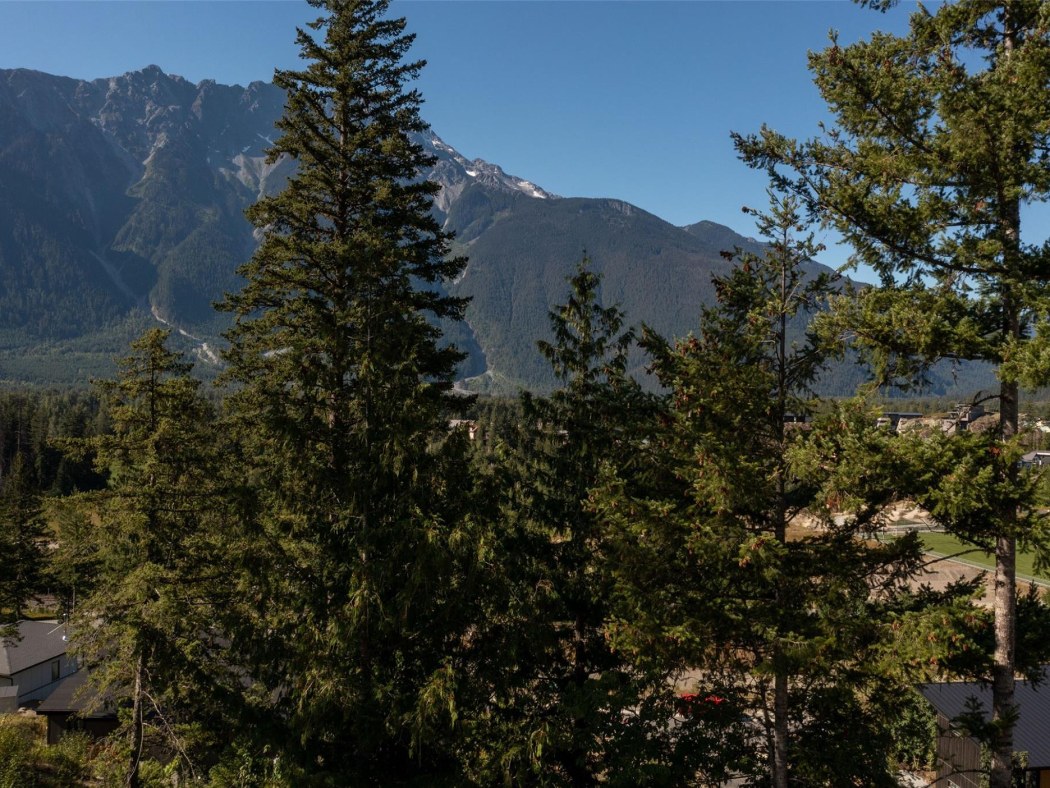 7677 Cerulean Drive image 13